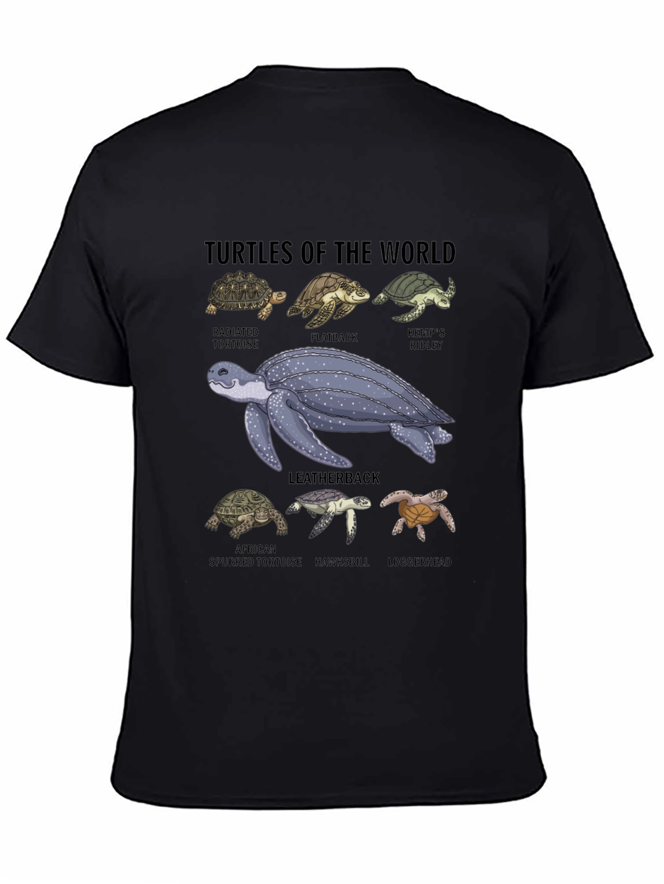 Turtles of the World Graphic T-Shirt