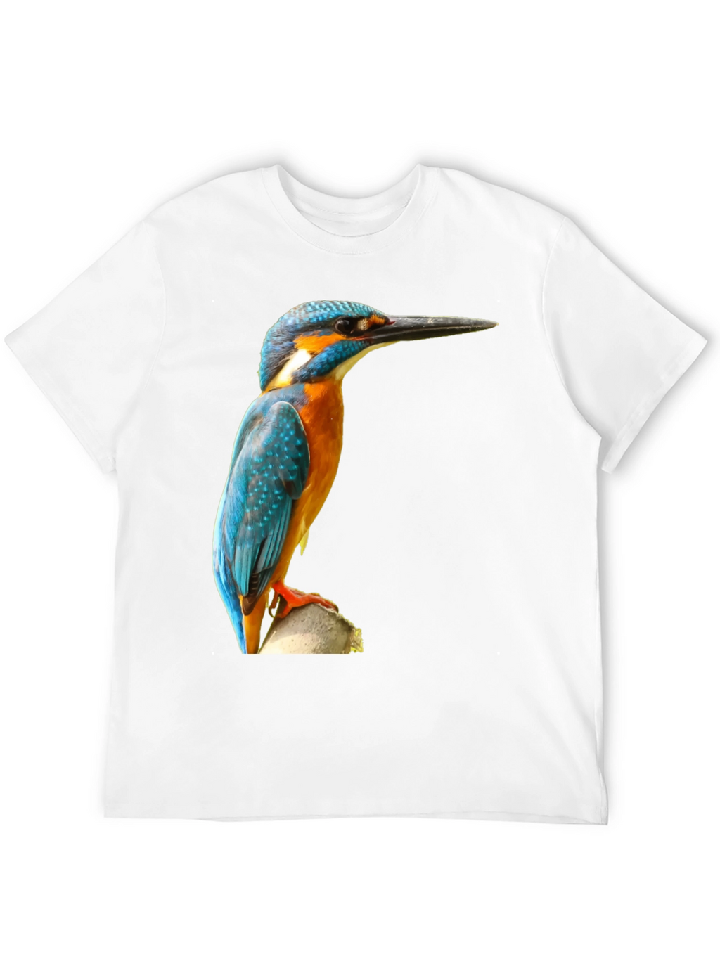 Kingfisher Bird Print T-Shirt - Black