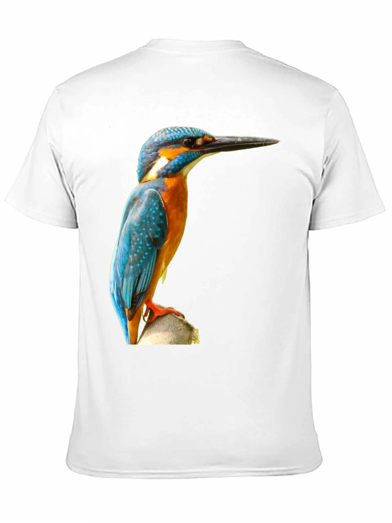 Kingfisher Bird Print T-Shirt - Black