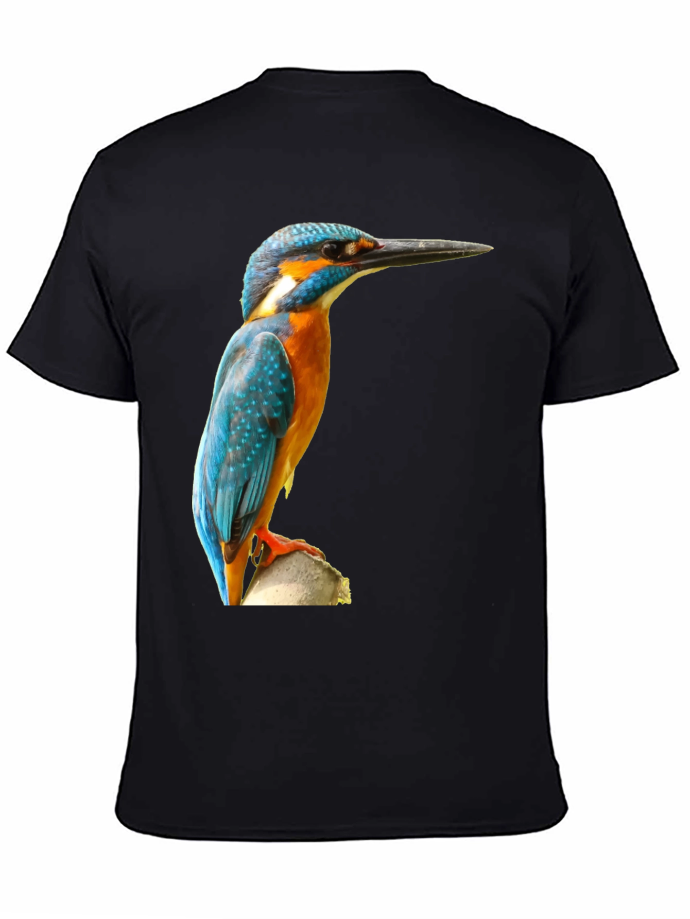 Kingfisher Bird Print T-Shirt - Black