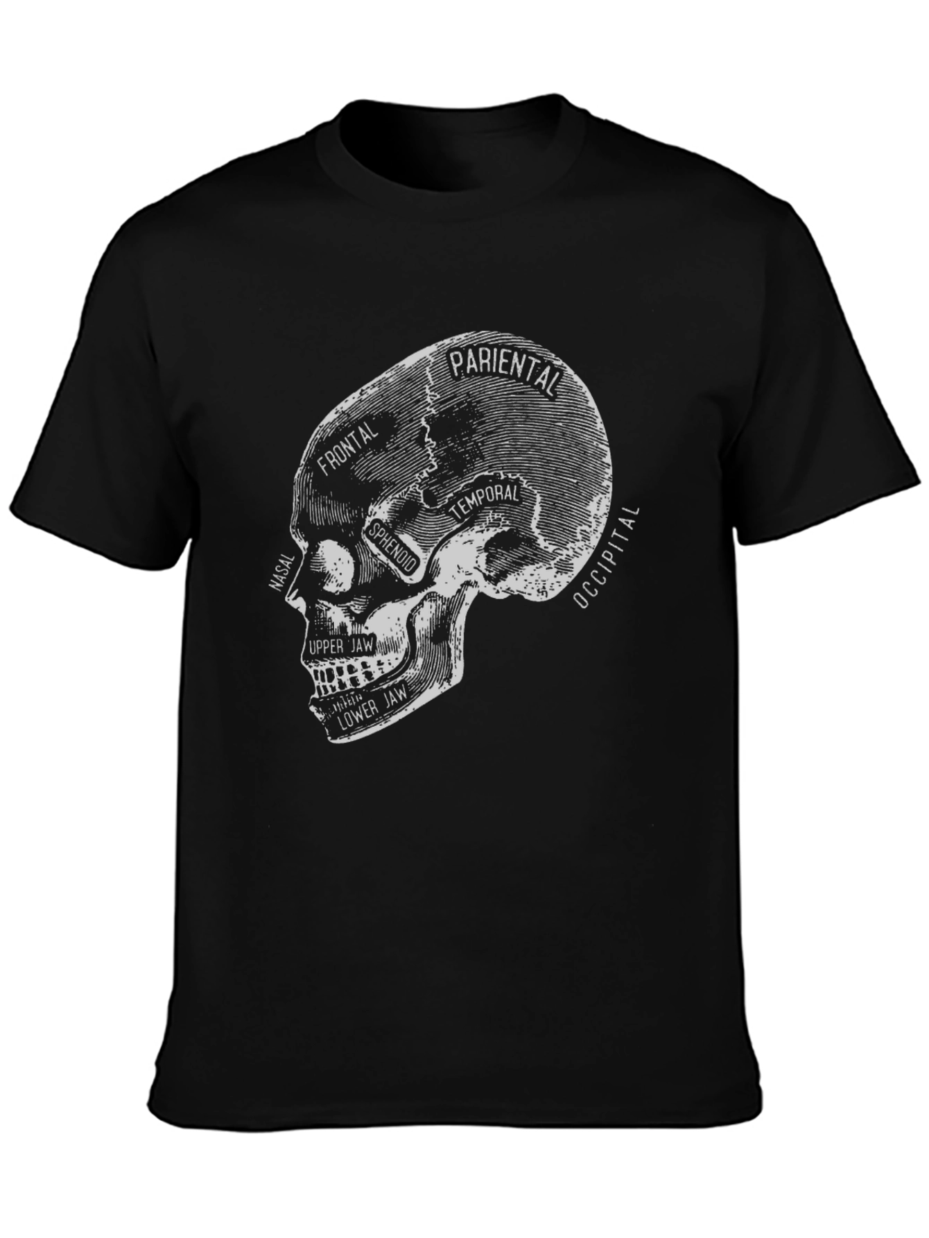 Anatomical Skull T-Shirt - Gothic Halloween Tee