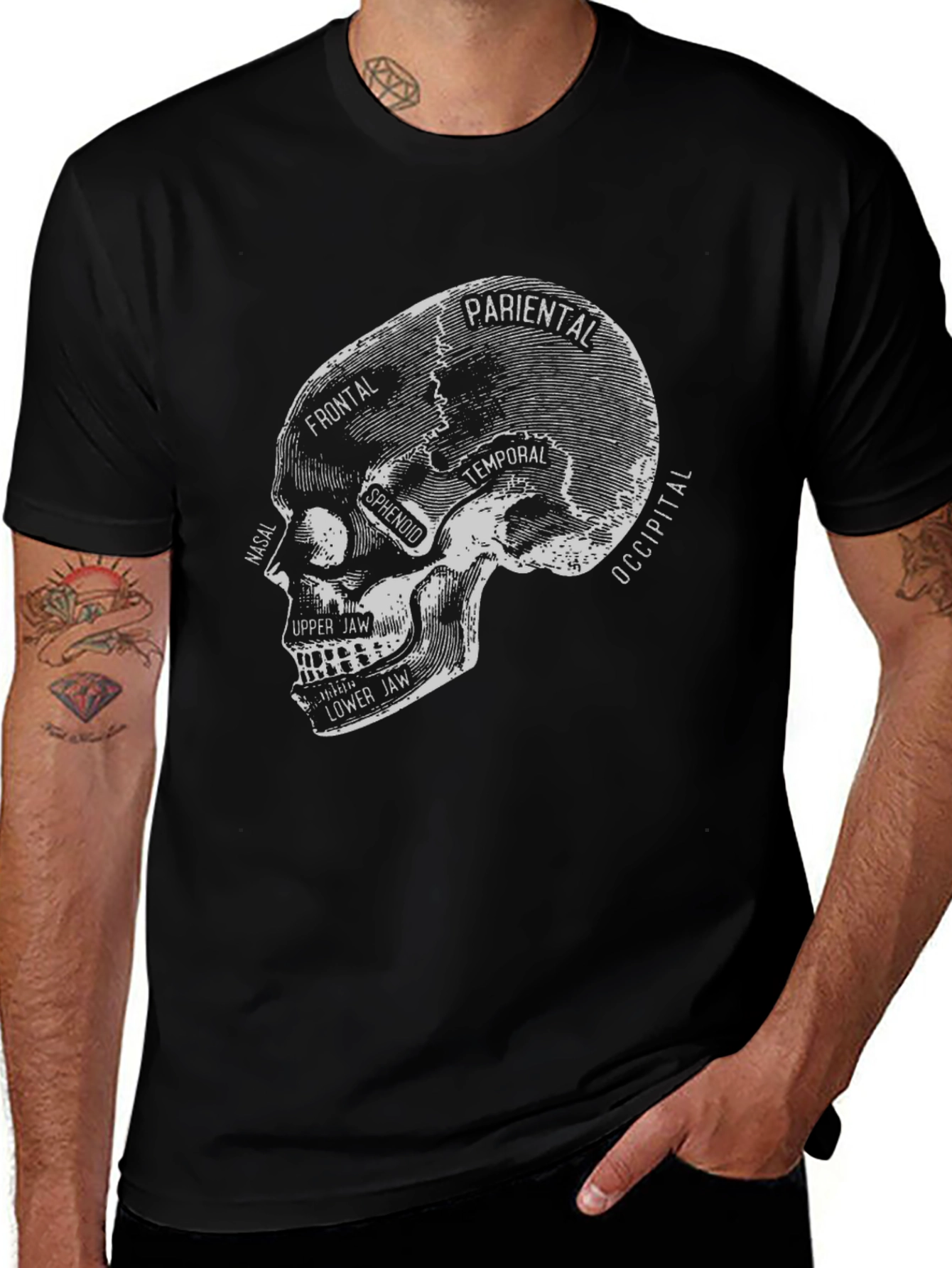 Anatomical Skull T-Shirt - Gothic Halloween Tee