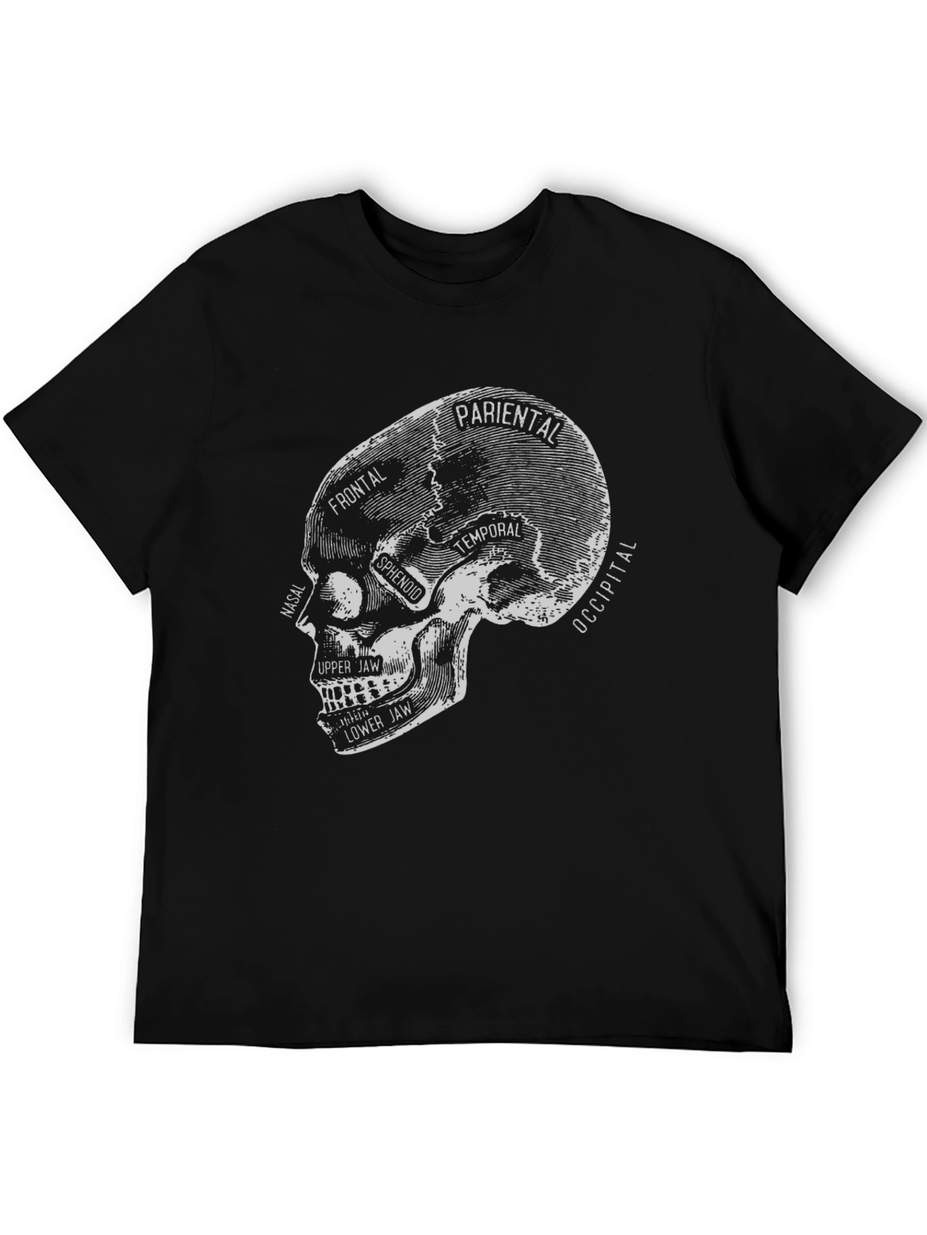Anatomical Skull T-Shirt - Gothic Halloween Tee