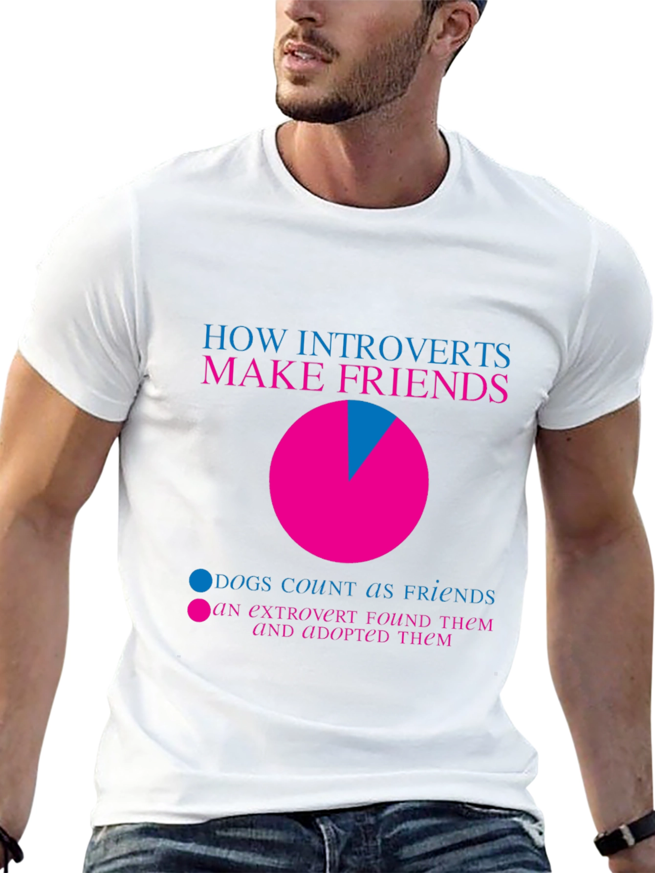 Introvert Friends Pie Chart T-Shirt