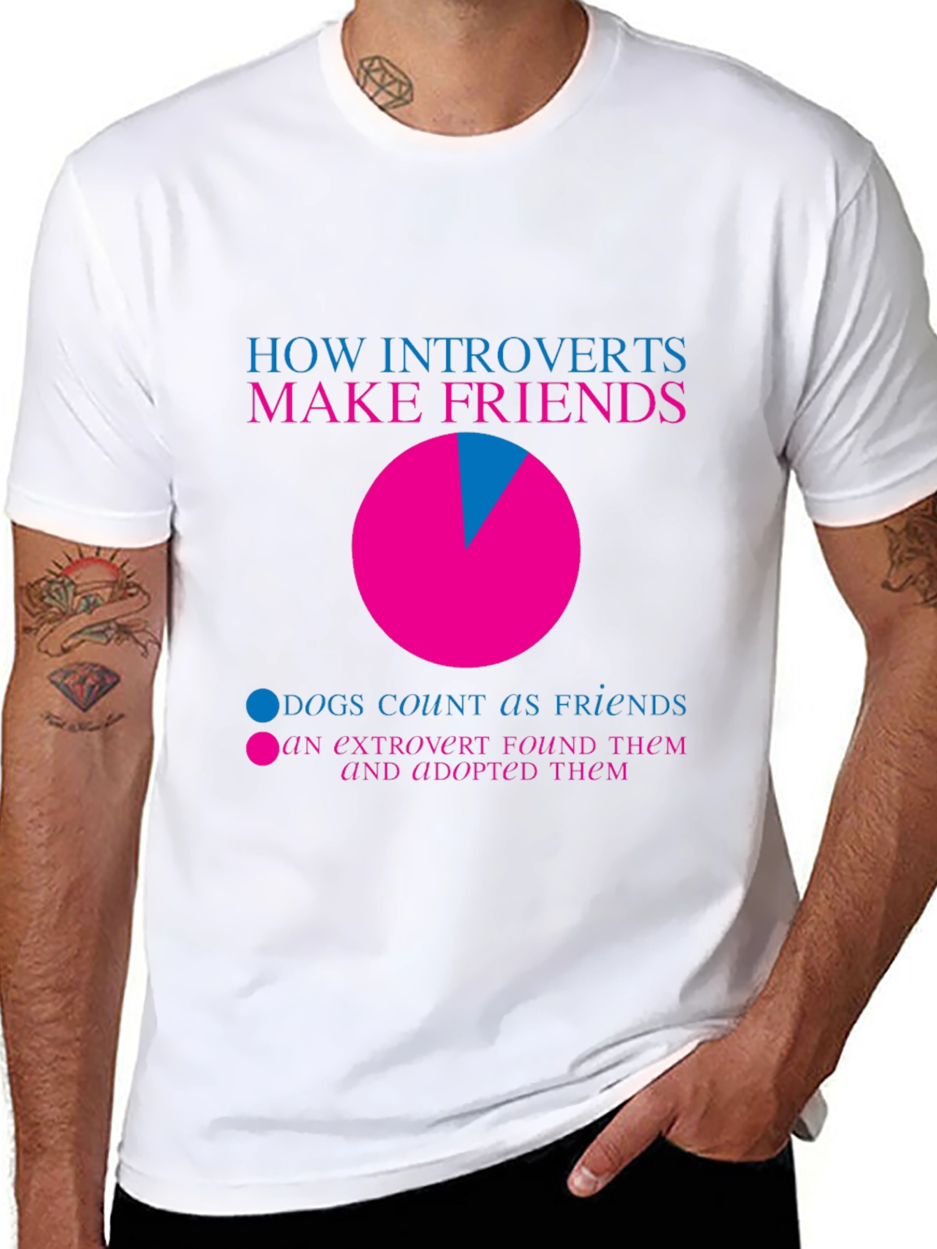 Introvert Friends Pie Chart T-Shirt