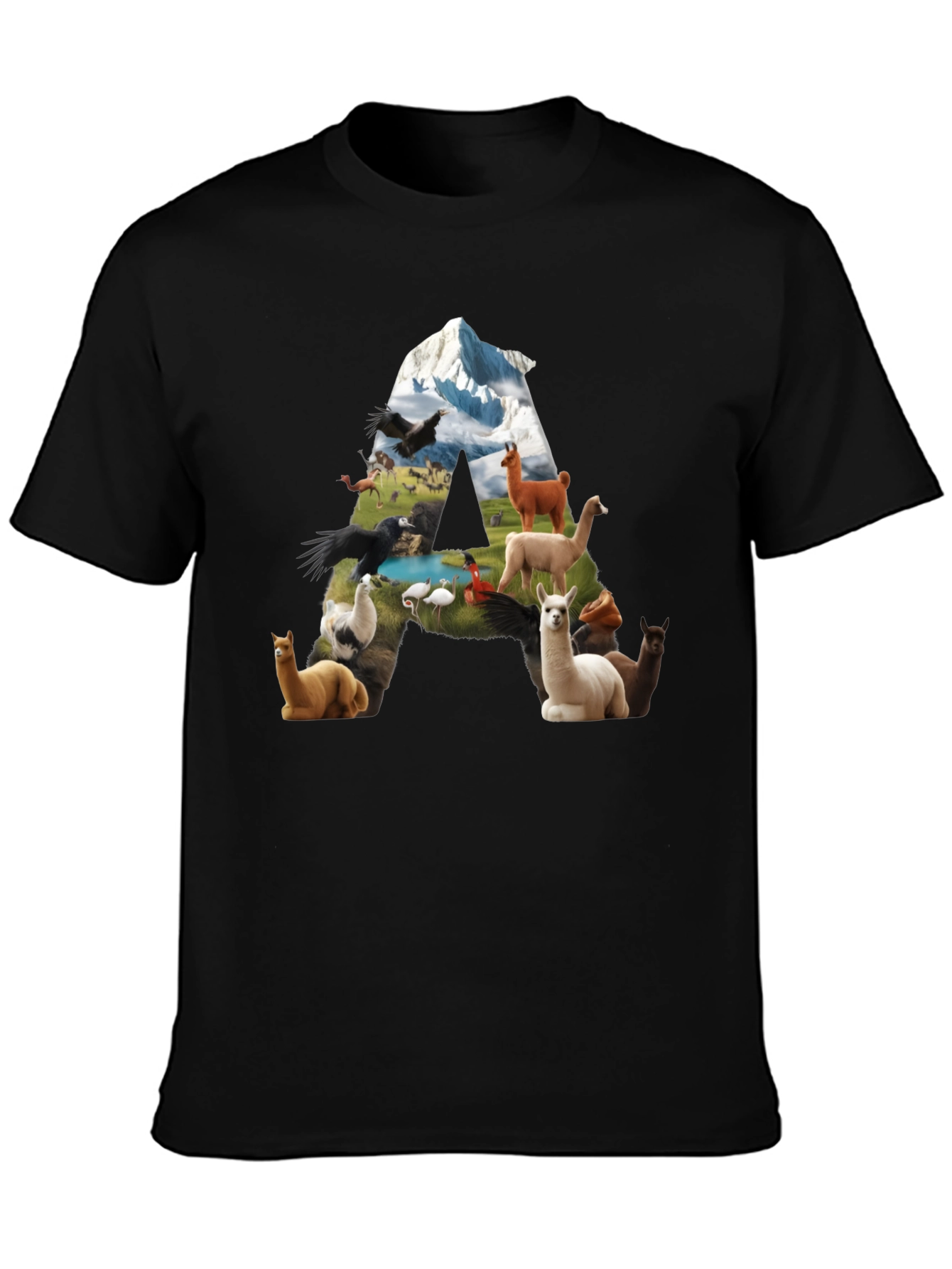 Llama Letter Graphic T-Shirt