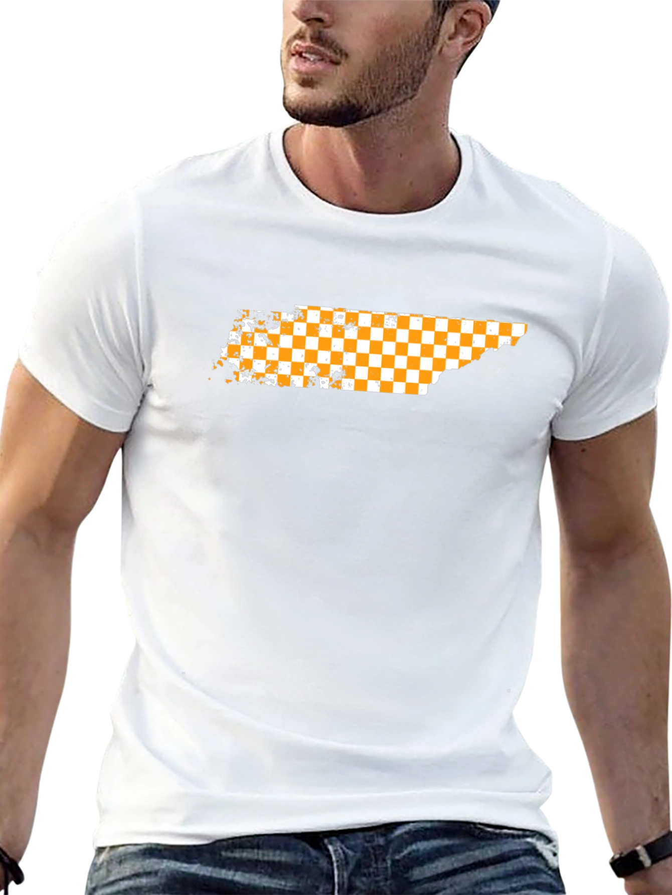 Tennessee Checkerboard State Pride T-Shirt
