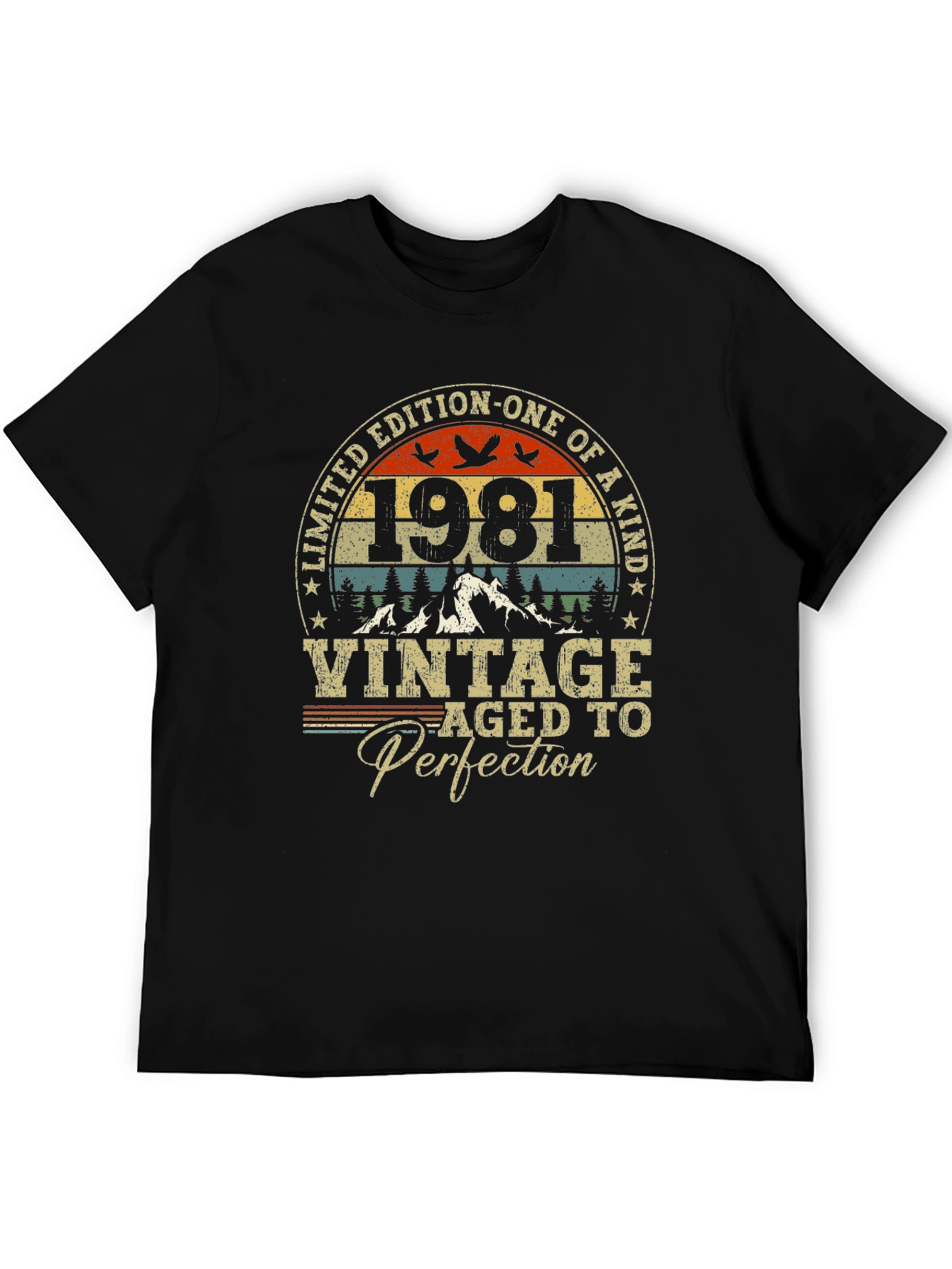 Vintage 1981 Limited Edition T-Shirt