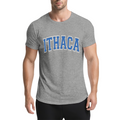 Vintage Ithaca College Letter Print Grey T-Shirt, Preppy Campus Couple Casual Top