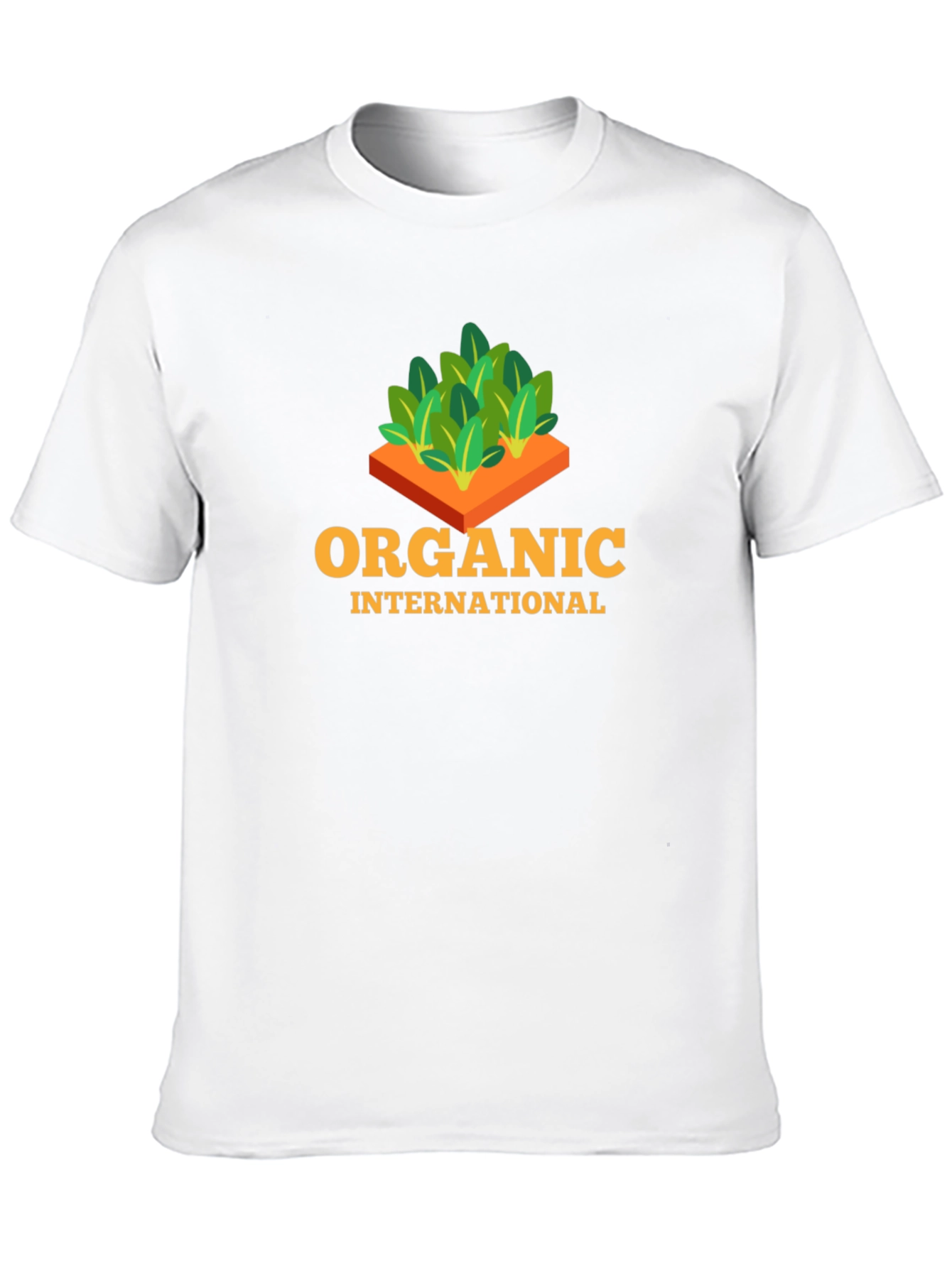 Organic International Black T-Shirt