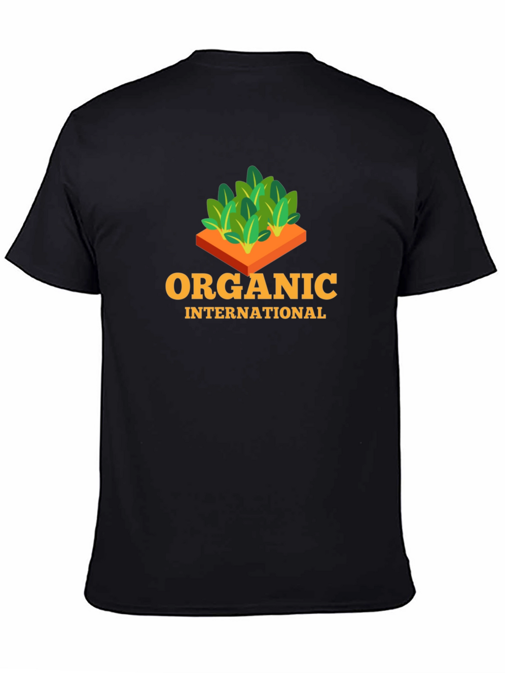 Organic International Black T-Shirt