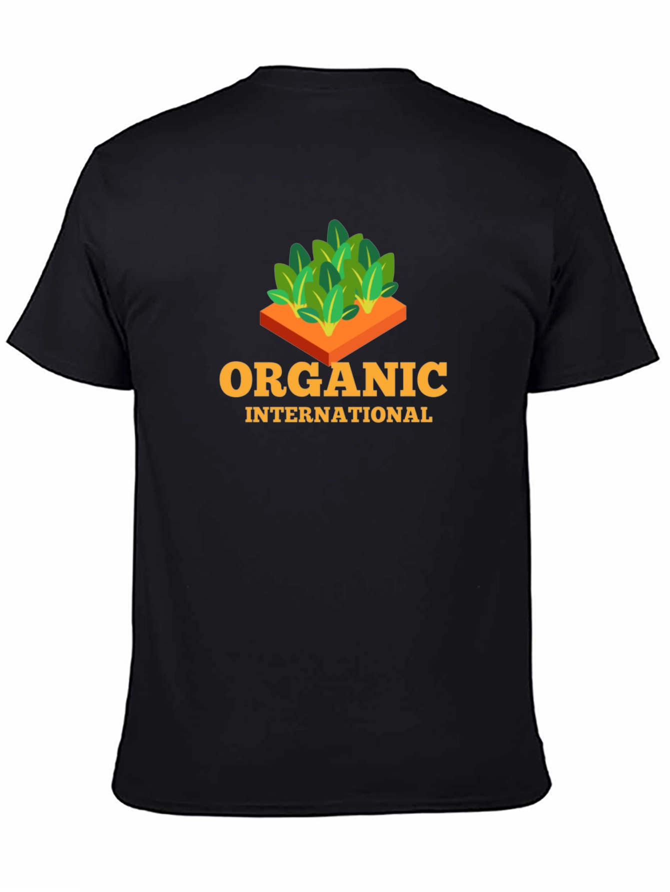 Organic International Black T-Shirt