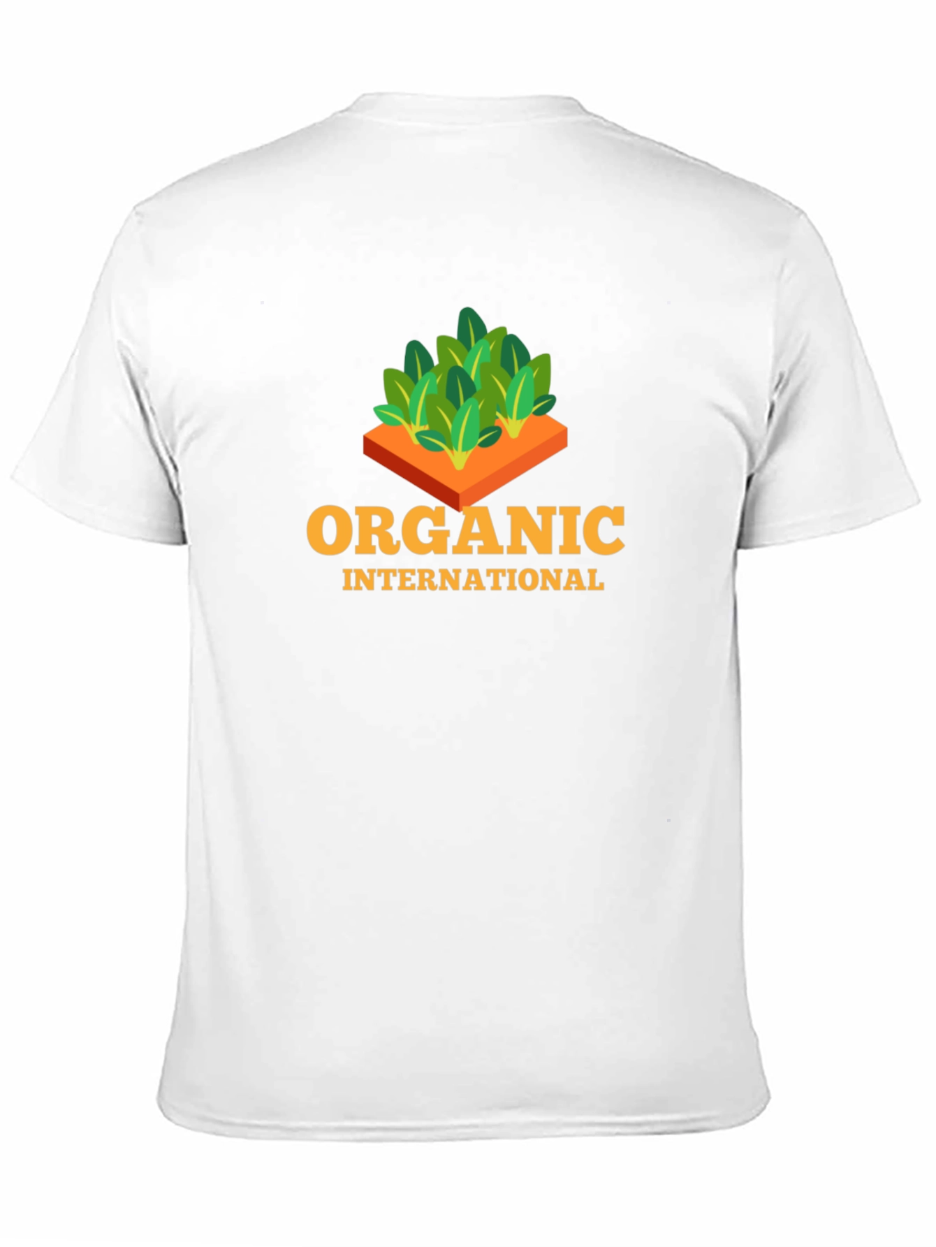 Organic International Black T-Shirt