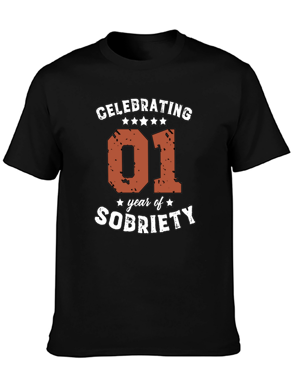 Celebrating 01 Year of Sobriety Graphic Tee