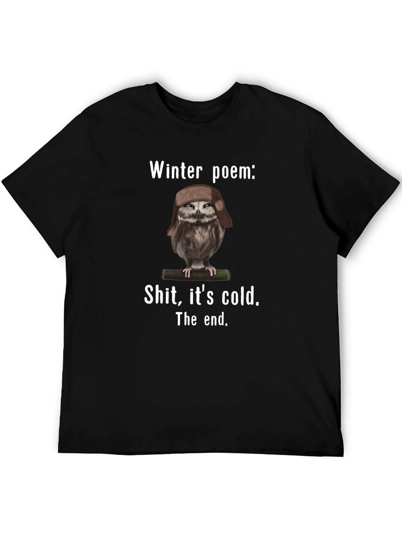 Winter Poem Owl T-Shirt - Funny Cold Weather Tee