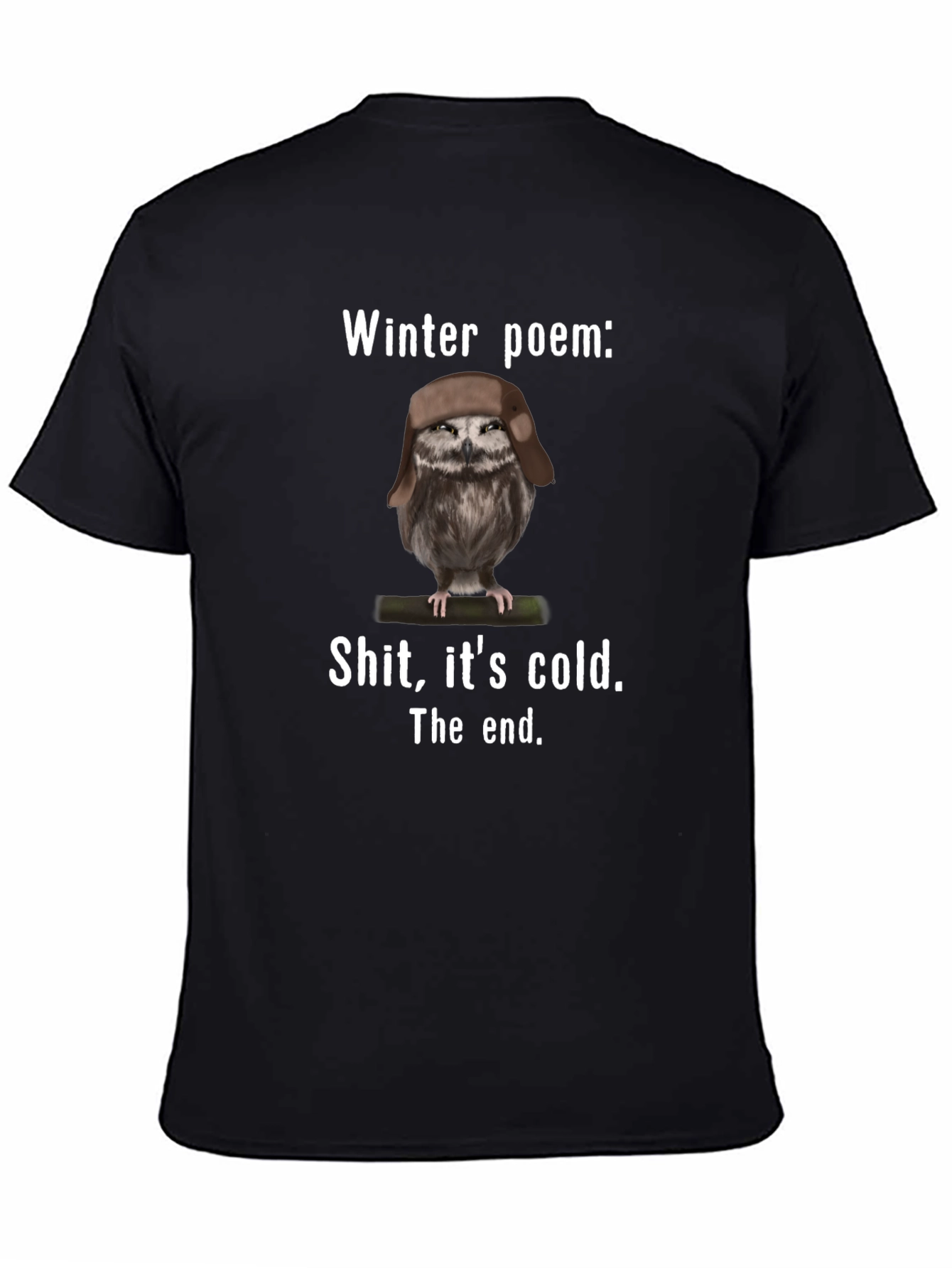 Winter Poem Owl T-Shirt - Funny Cold Weather Tee