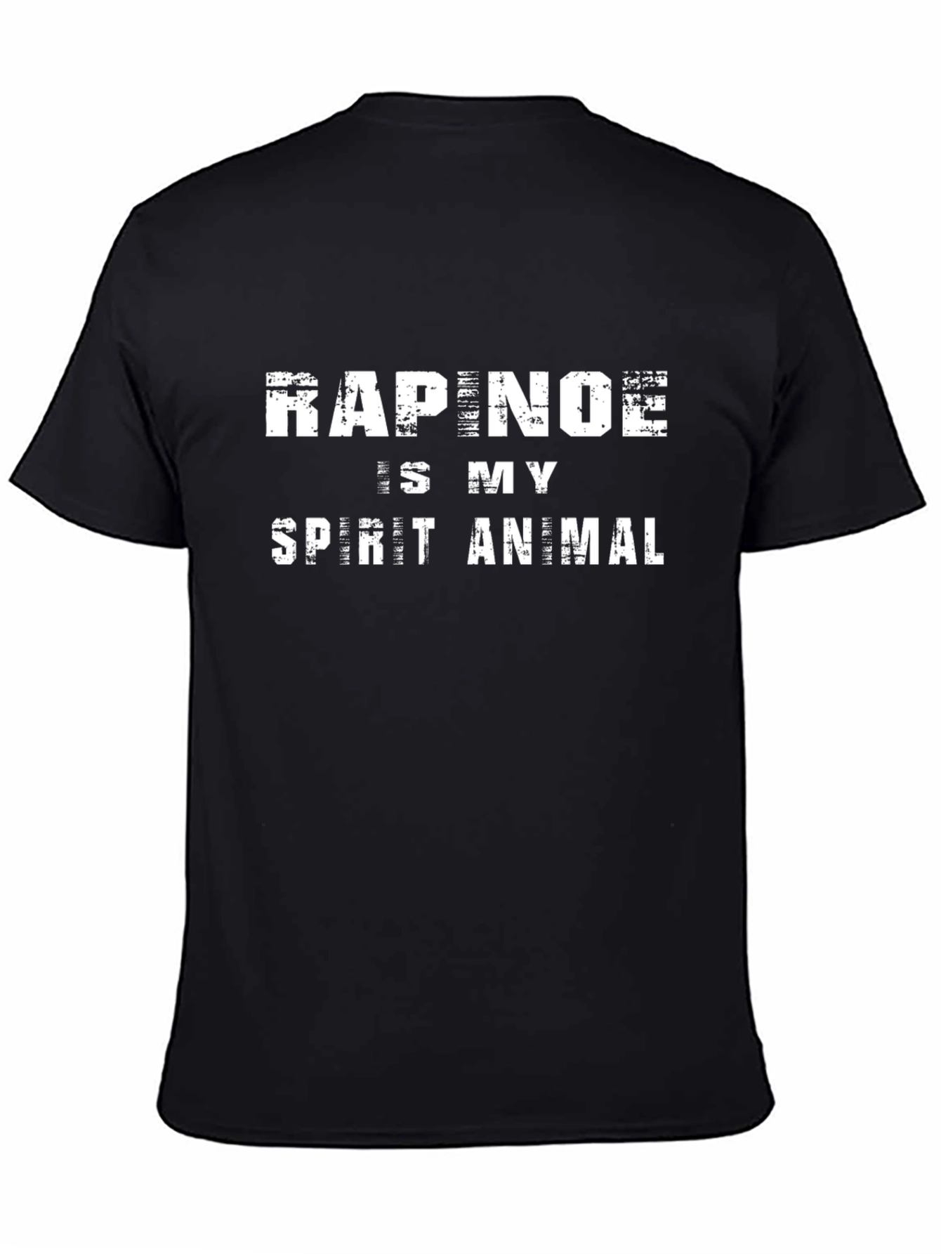 Rapinoe Is My Spirit Animal T-Shirt