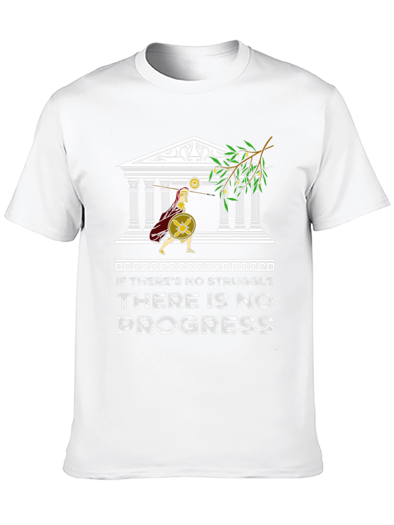 Motivational Spartan T-Shirt - No Struggle No Progress
