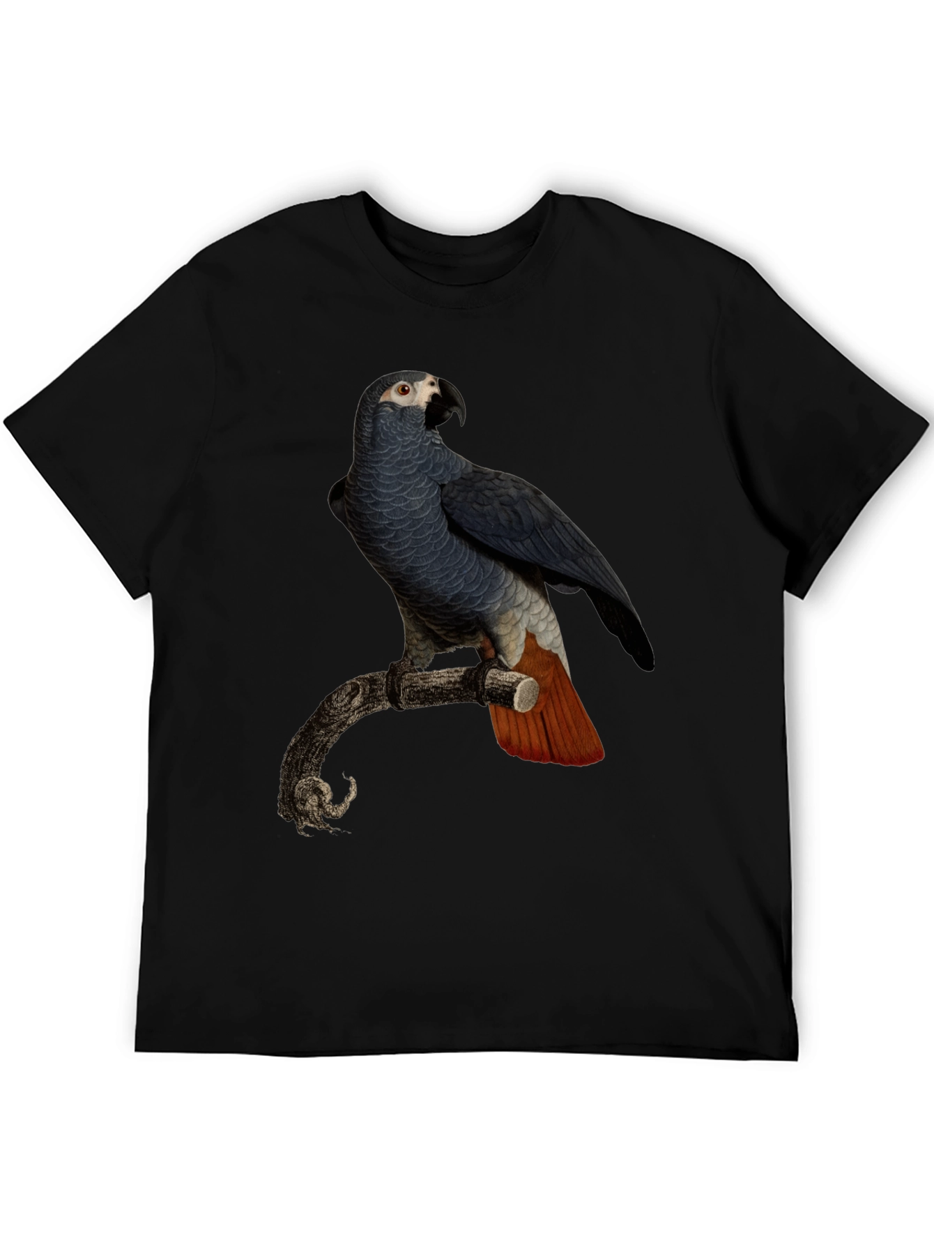 Parrot Graphic T-Shirt - Mens Black Tee