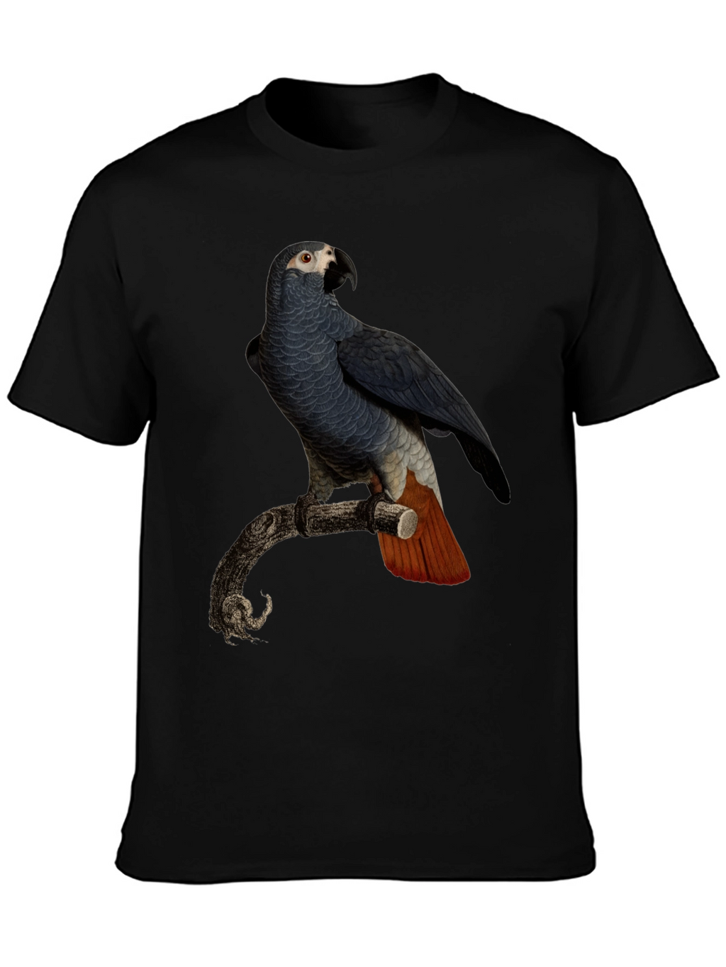 Parrot Graphic T-Shirt - Mens Black Tee