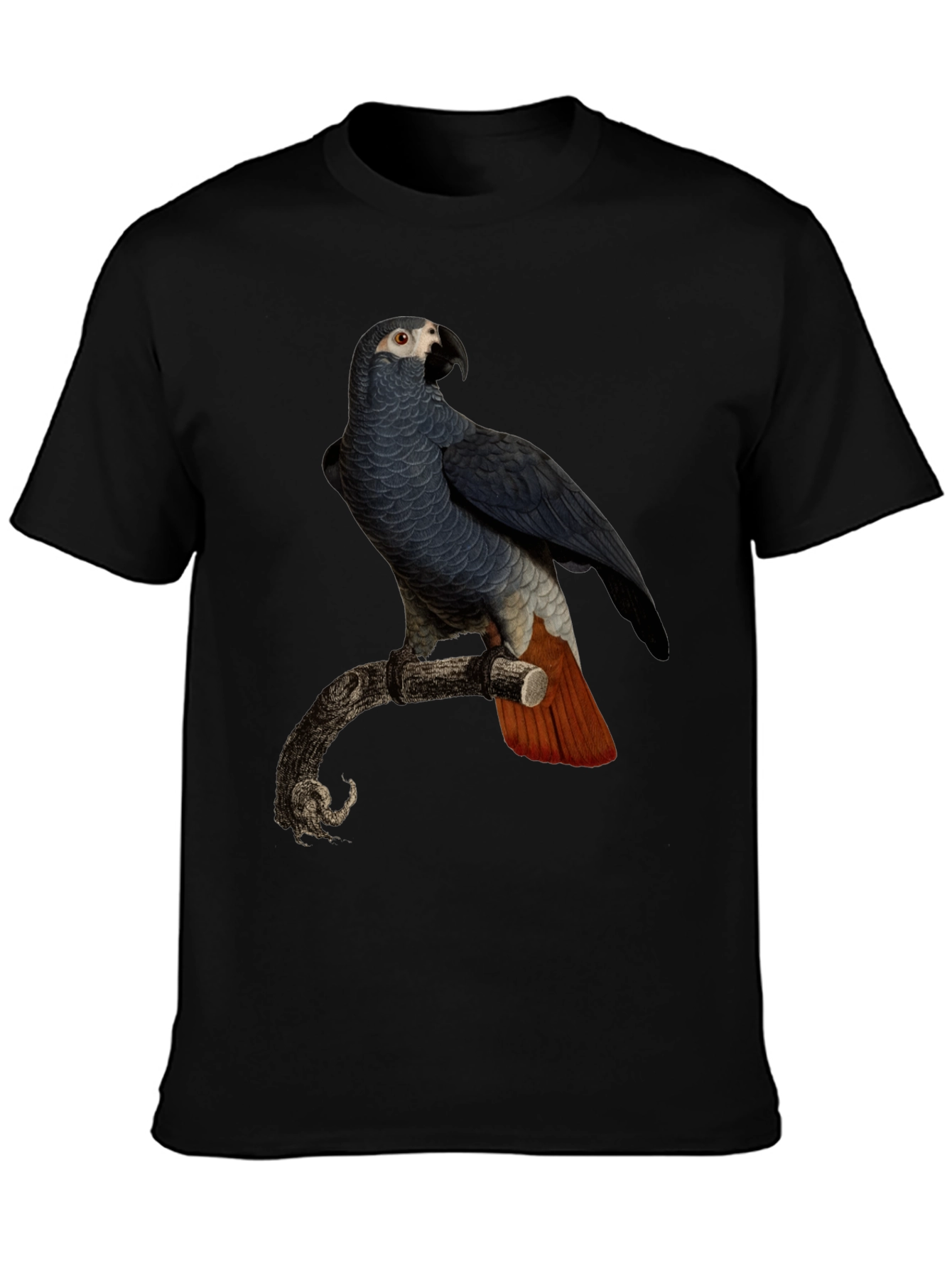 Parrot Graphic T-Shirt - Mens Black Tee