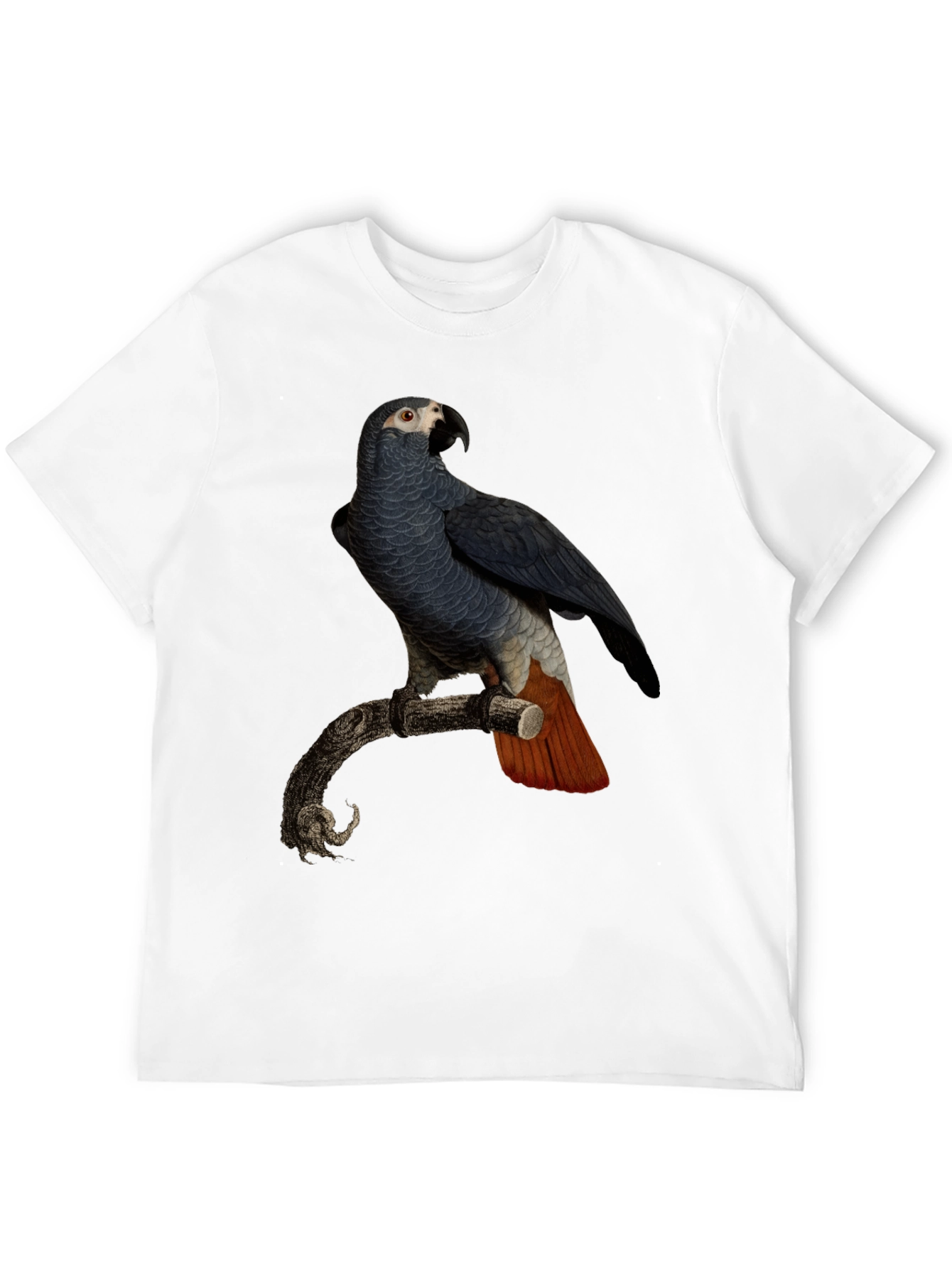 Parrot Graphic T-Shirt - Mens Black Tee