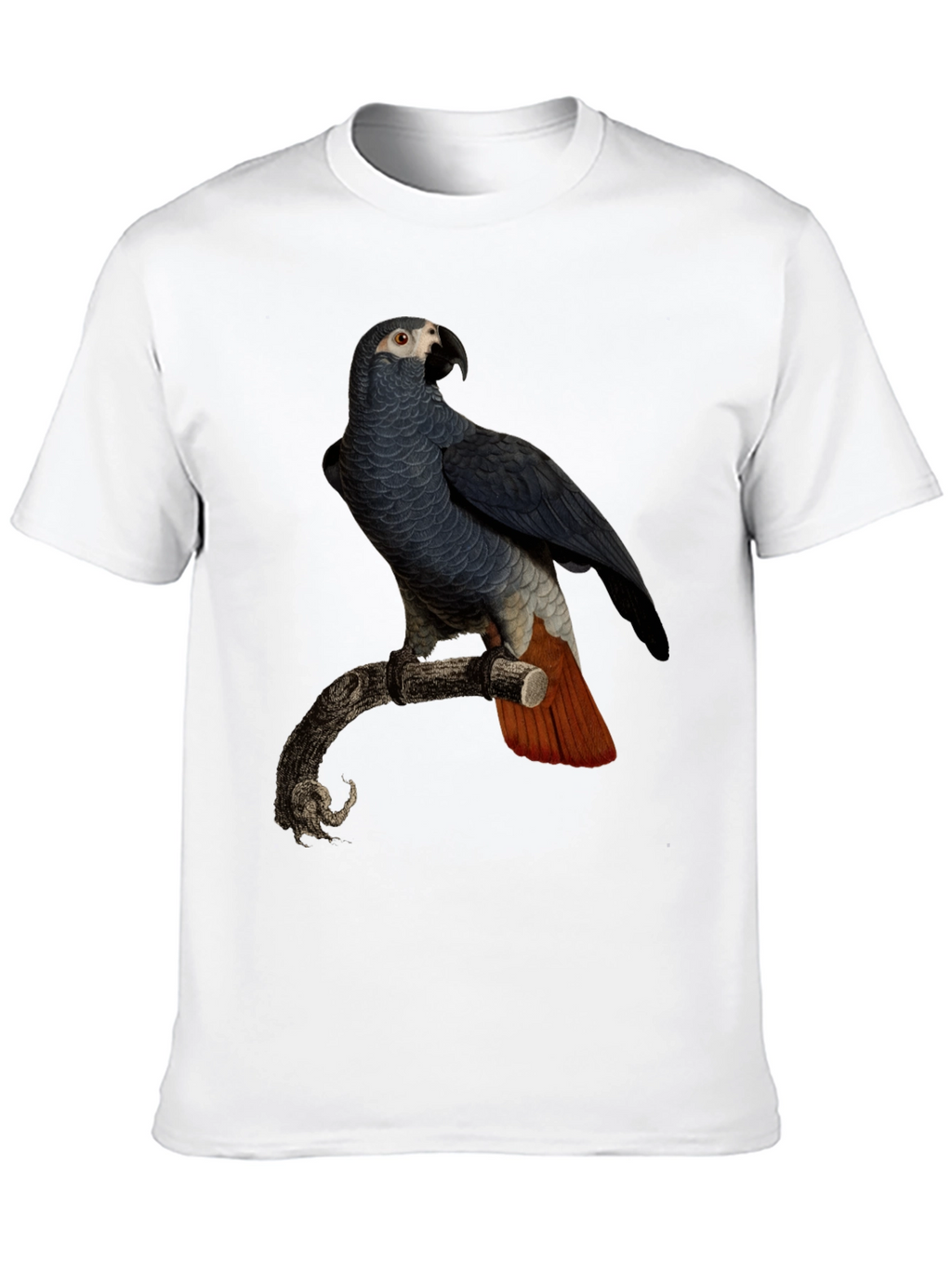 Parrot Graphic T-Shirt - Mens Black Tee