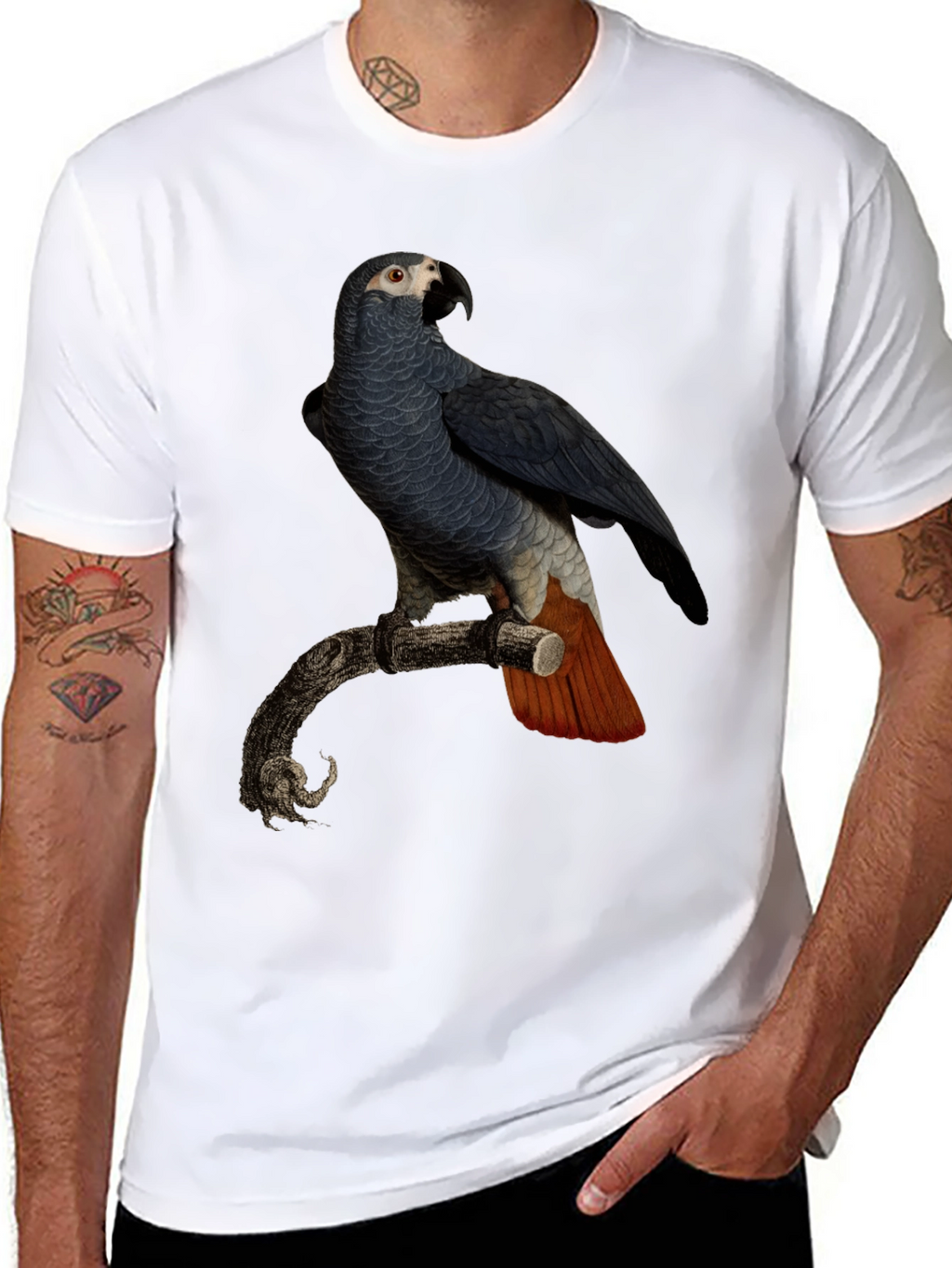 Parrot Graphic T-Shirt - Mens Black Tee