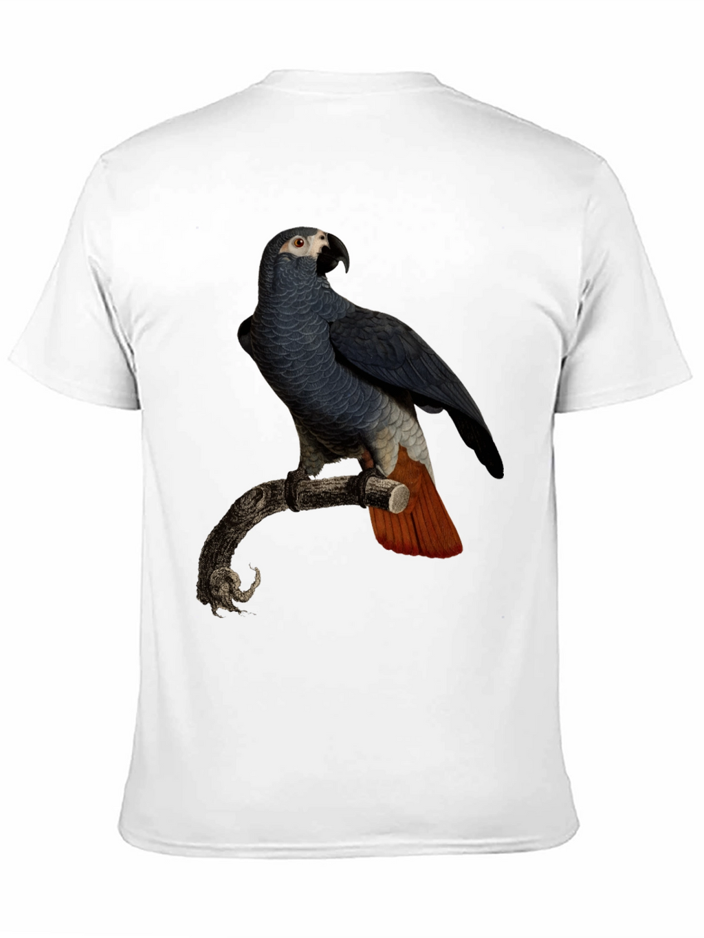 Parrot Graphic T-Shirt - Mens Black Tee