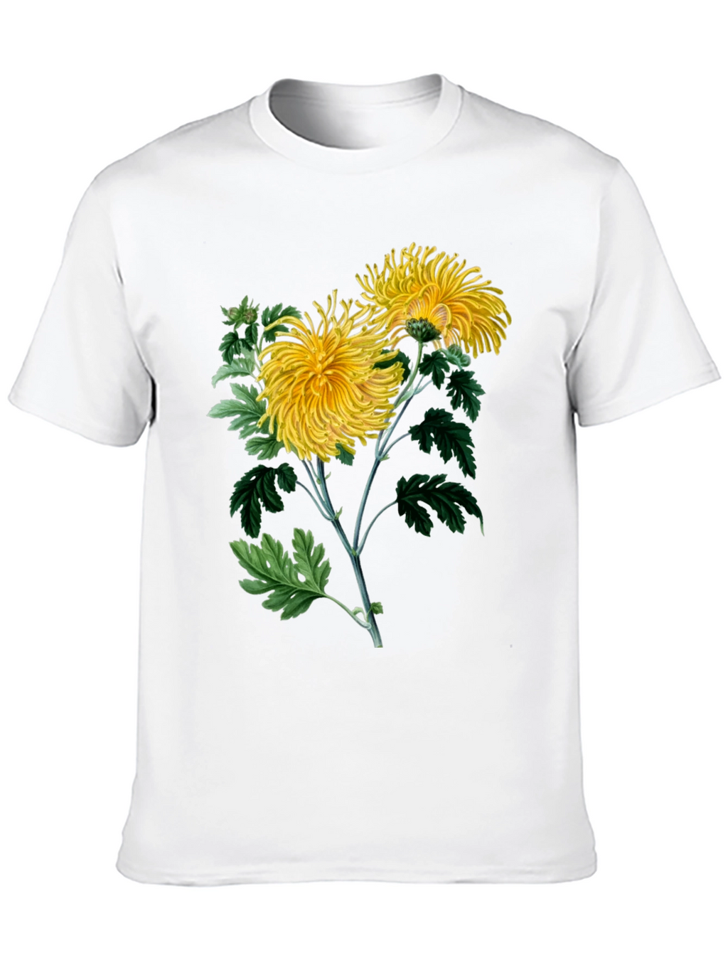 Botanical Chrysanthemum Graphic T-Shirt