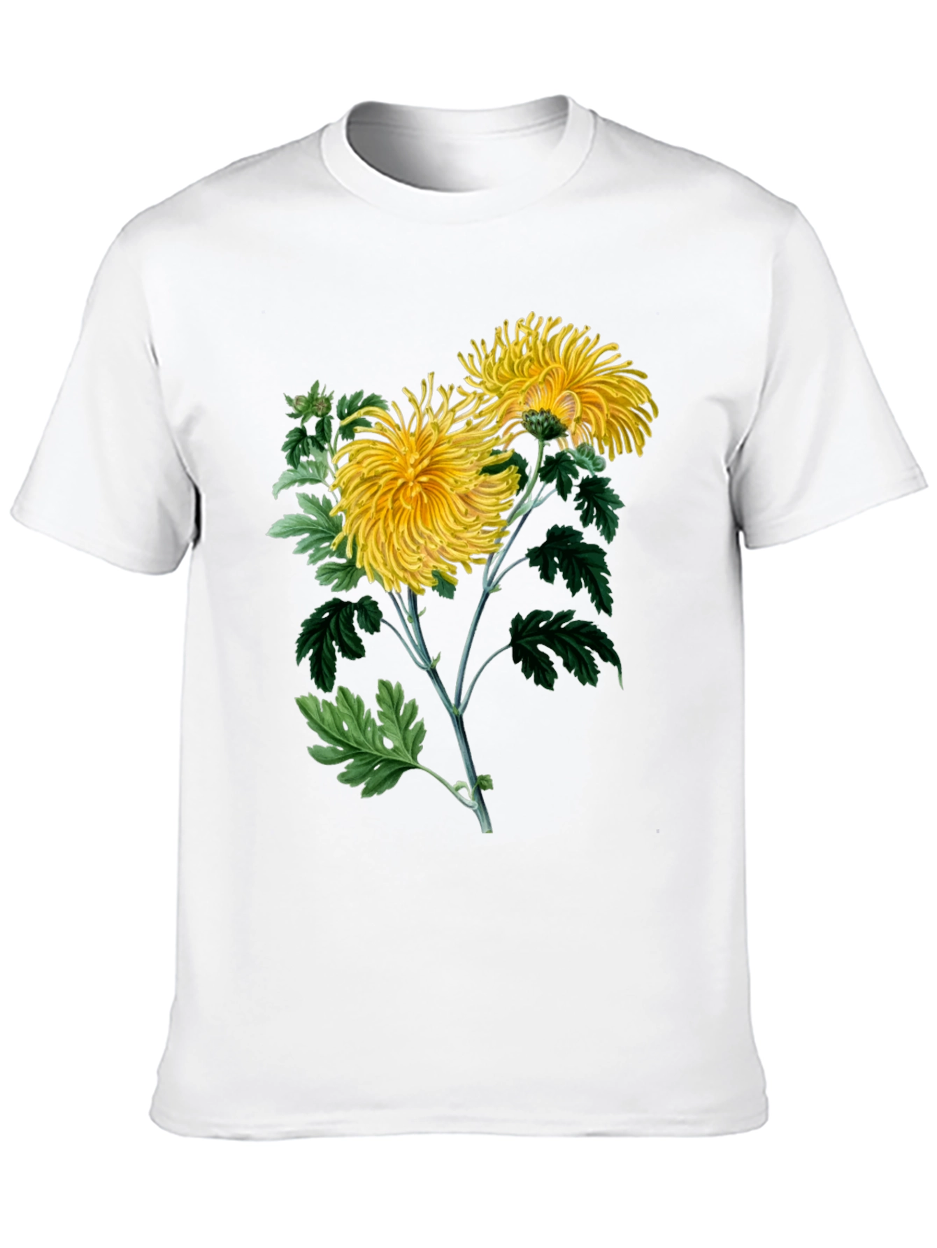 Botanical Chrysanthemum Graphic T-Shirt