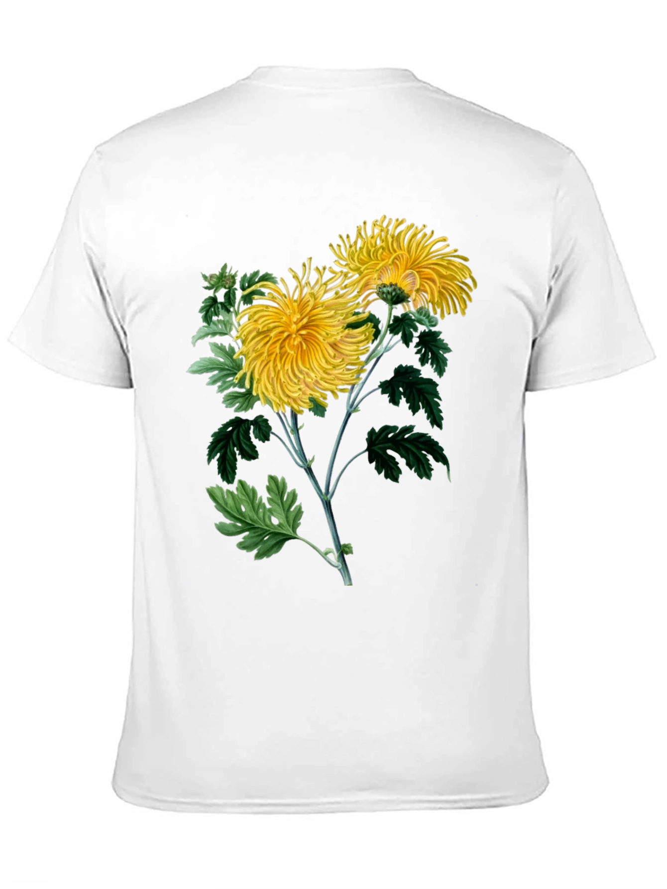 Botanical Chrysanthemum Graphic T-Shirt
