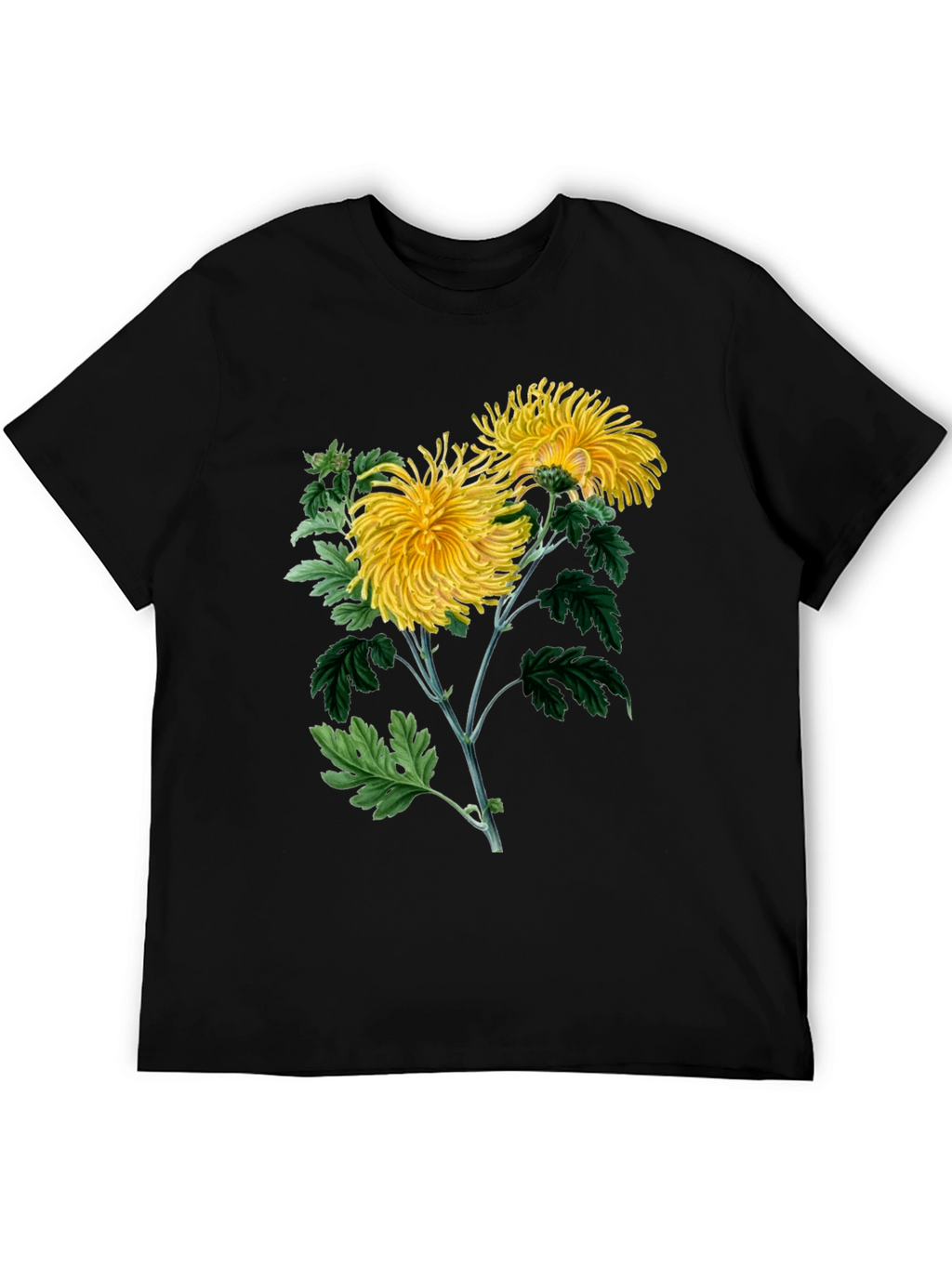 Botanical Chrysanthemum Graphic T-Shirt