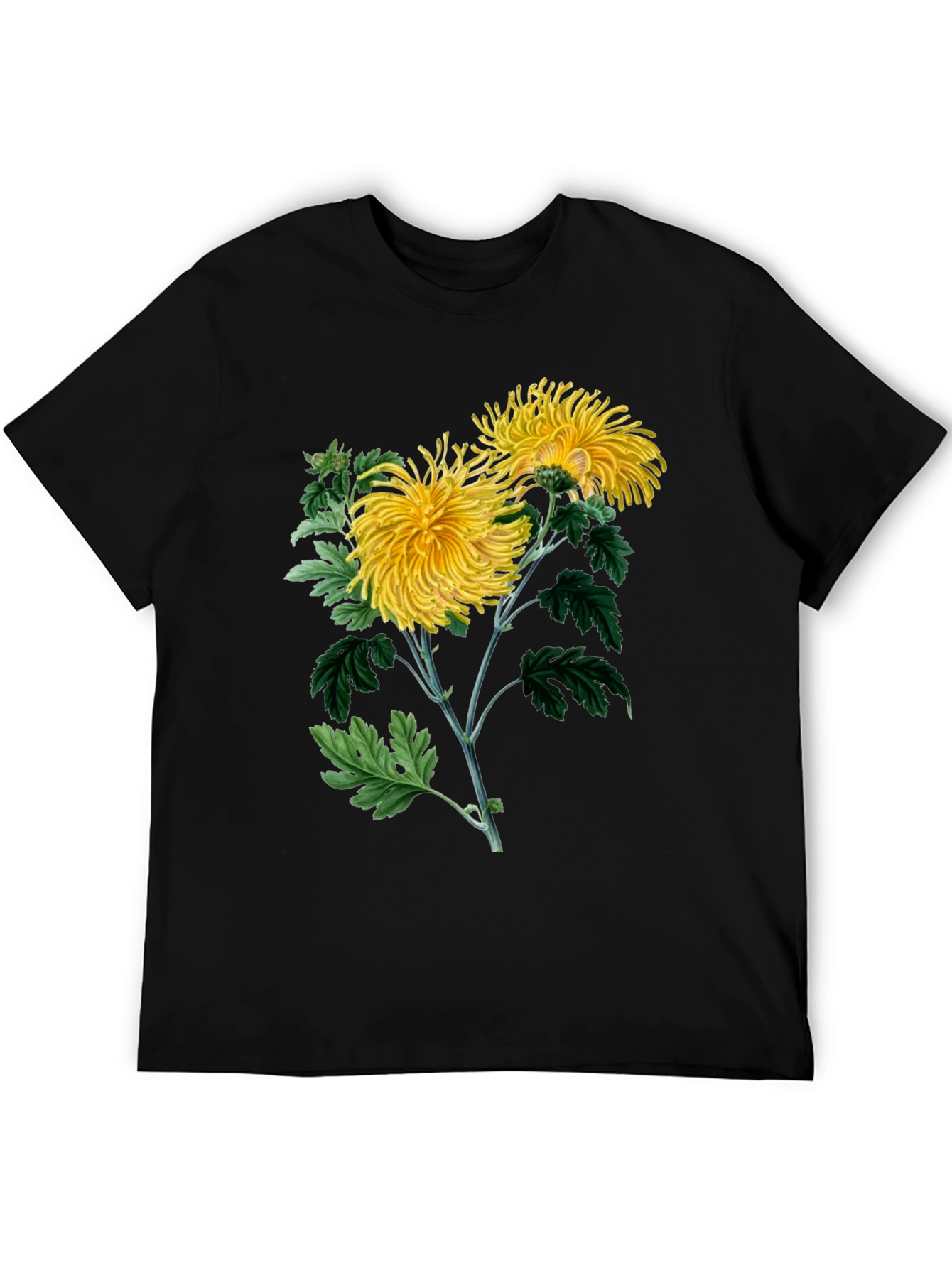 Botanical Chrysanthemum Graphic T-Shirt