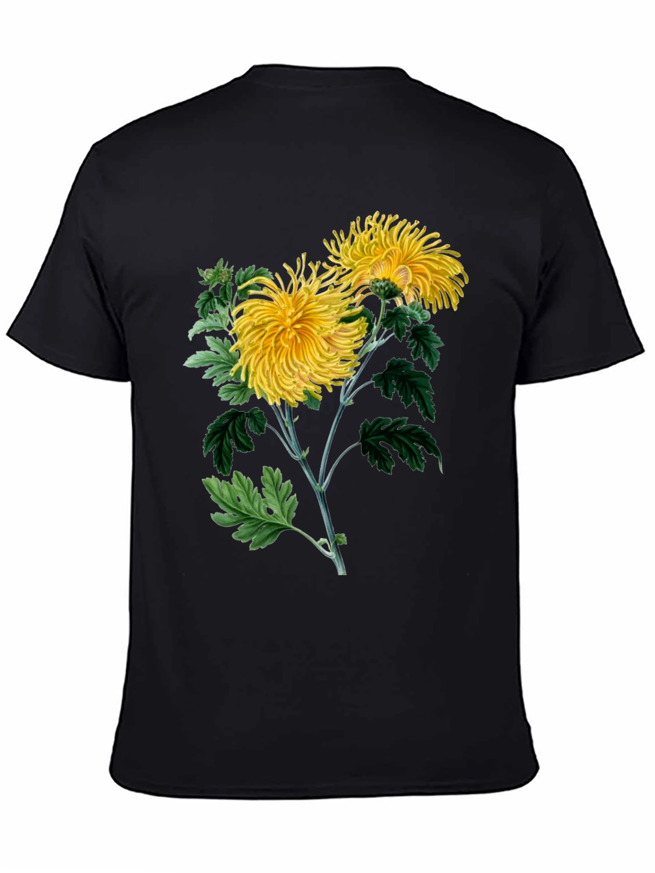 Botanical Chrysanthemum Graphic T-Shirt