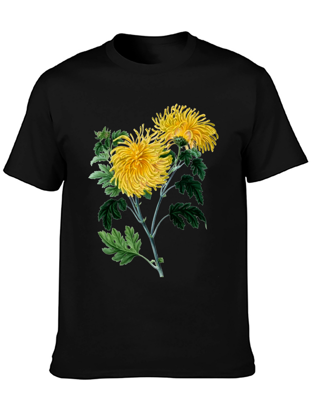 Botanical Chrysanthemum Graphic T-Shirt