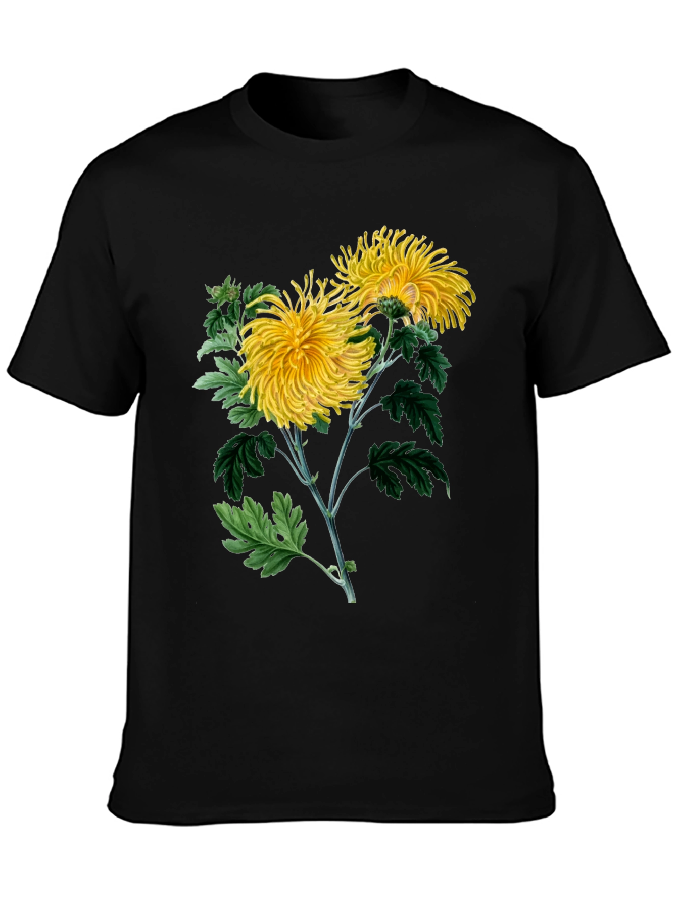 Botanical Chrysanthemum Graphic T-Shirt