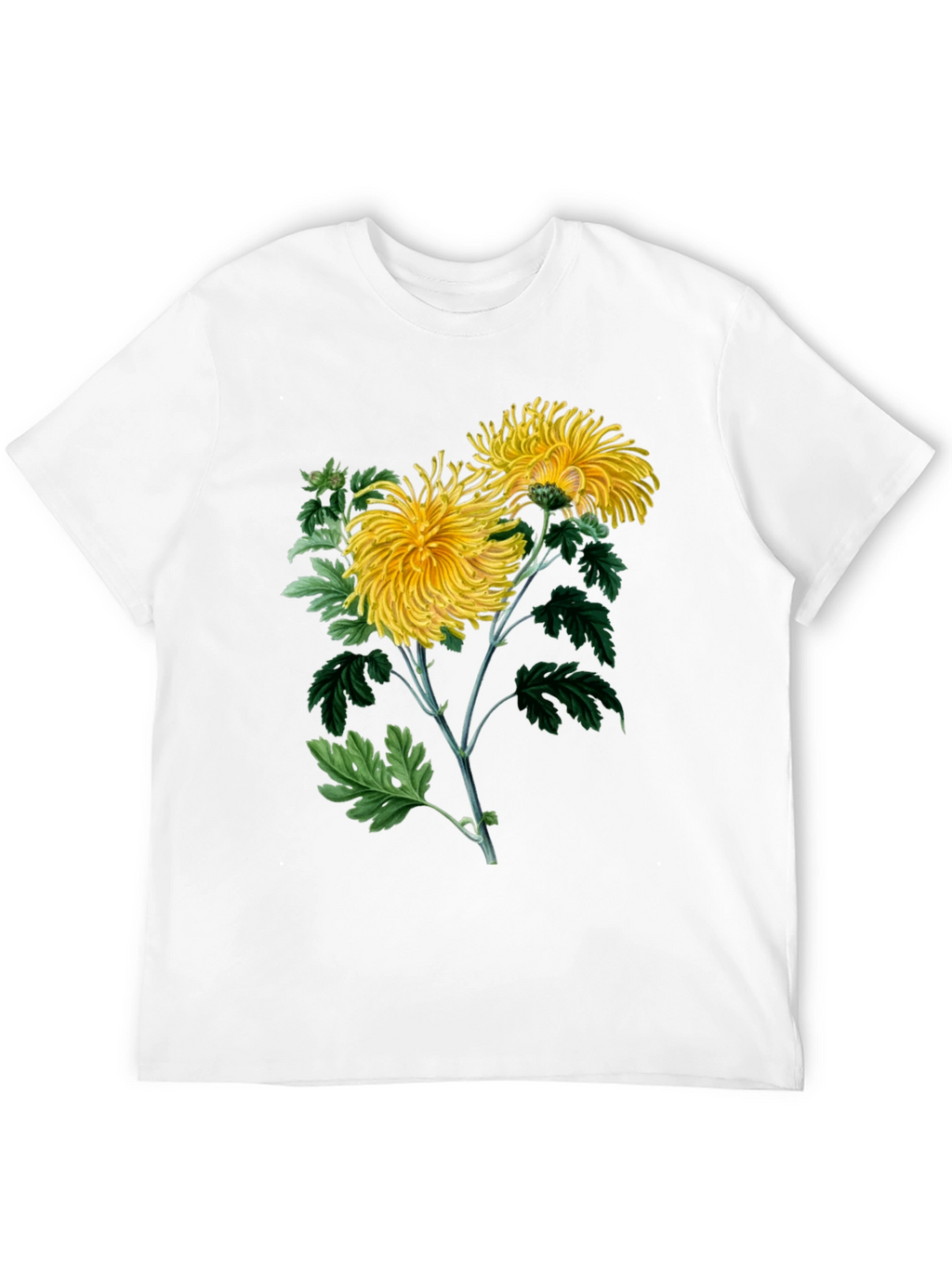 Botanical Chrysanthemum Graphic T-Shirt