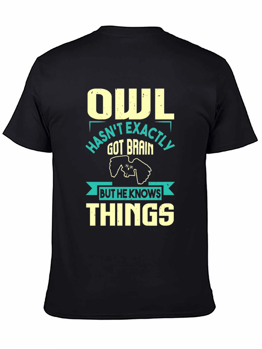 Owl Knows Things Mens T-Shirt - Funny Wisdom Tee