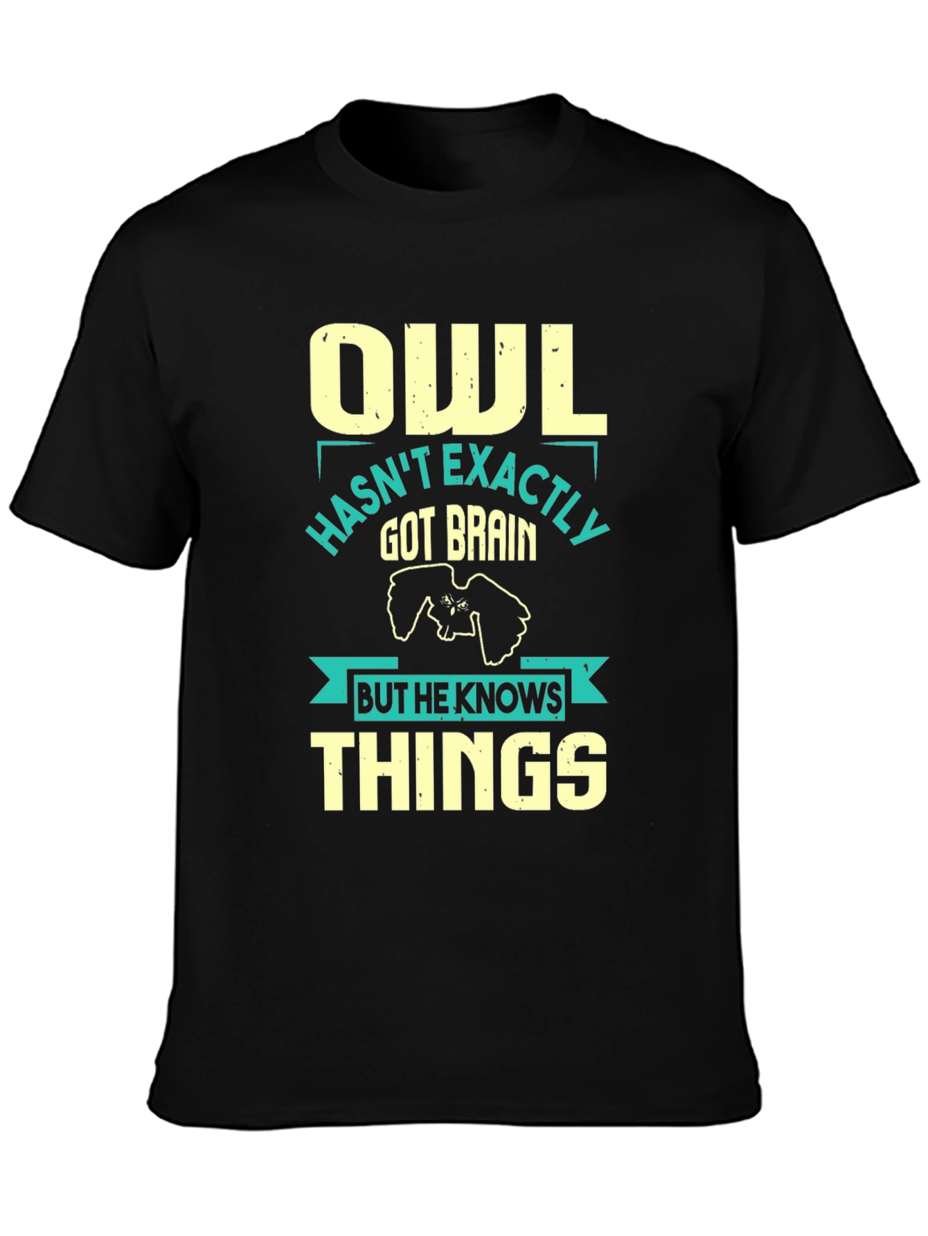 Owl Knows Things Mens T-Shirt - Funny Wisdom Tee