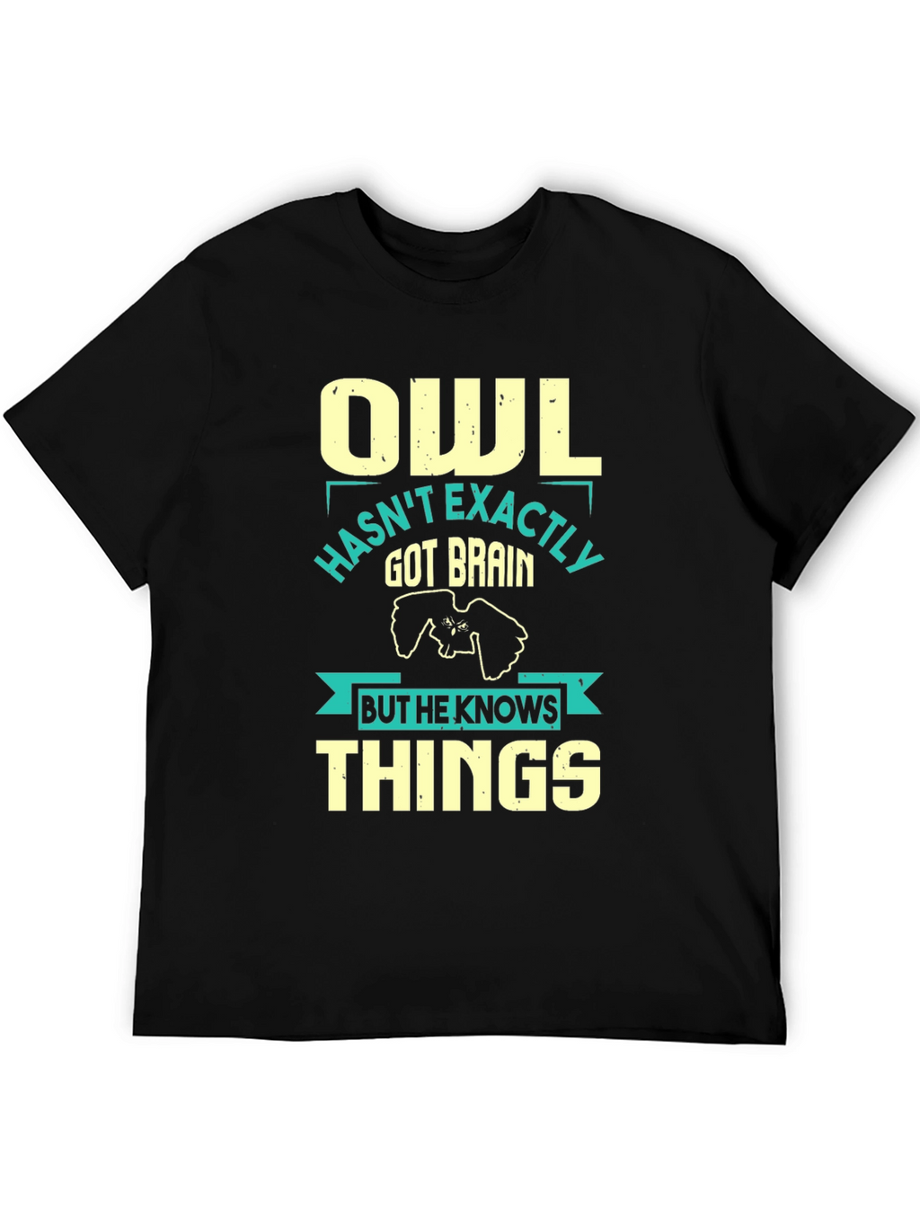 Owl Knows Things Mens T-Shirt - Funny Wisdom Tee