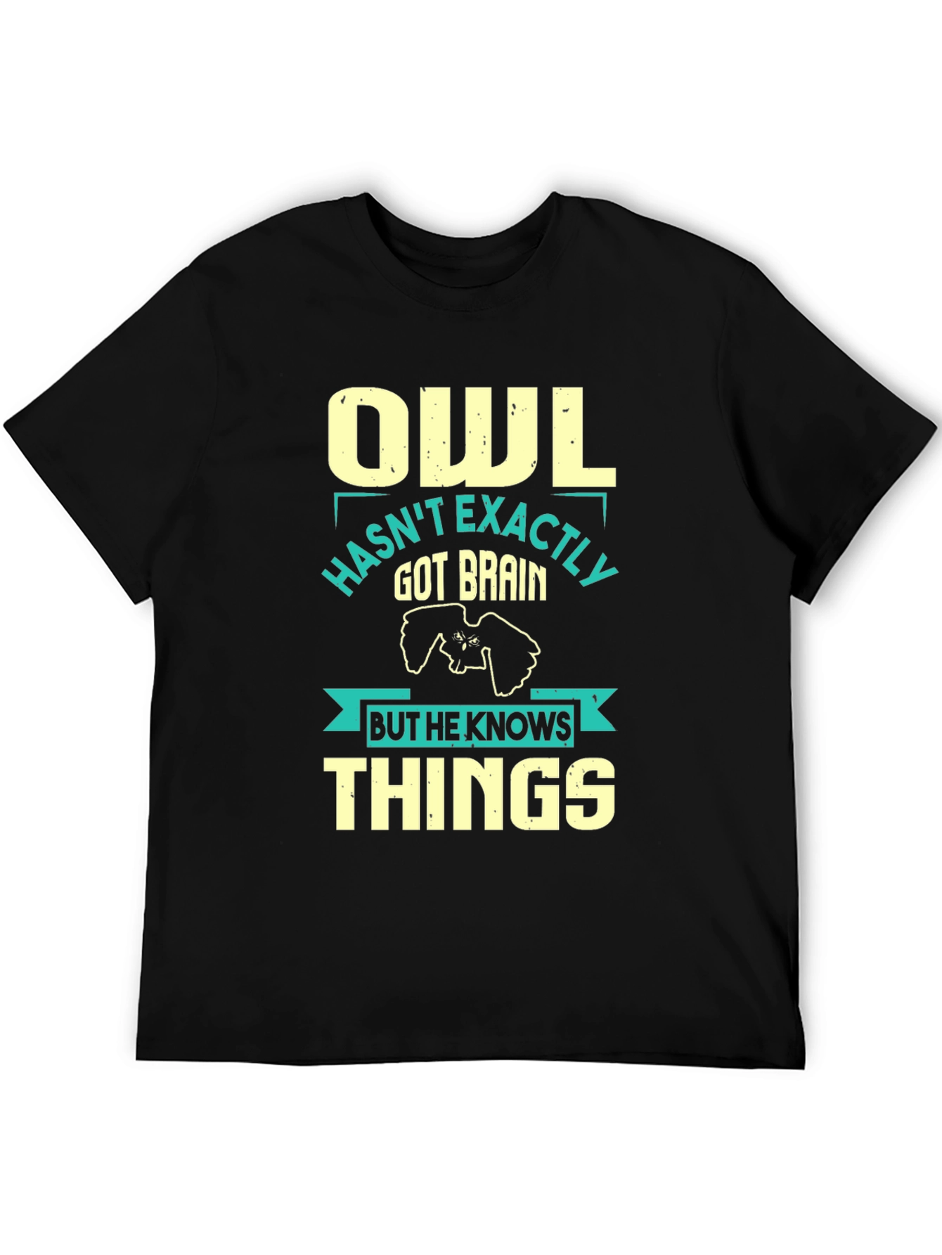 Owl Knows Things Mens T-Shirt - Funny Wisdom Tee