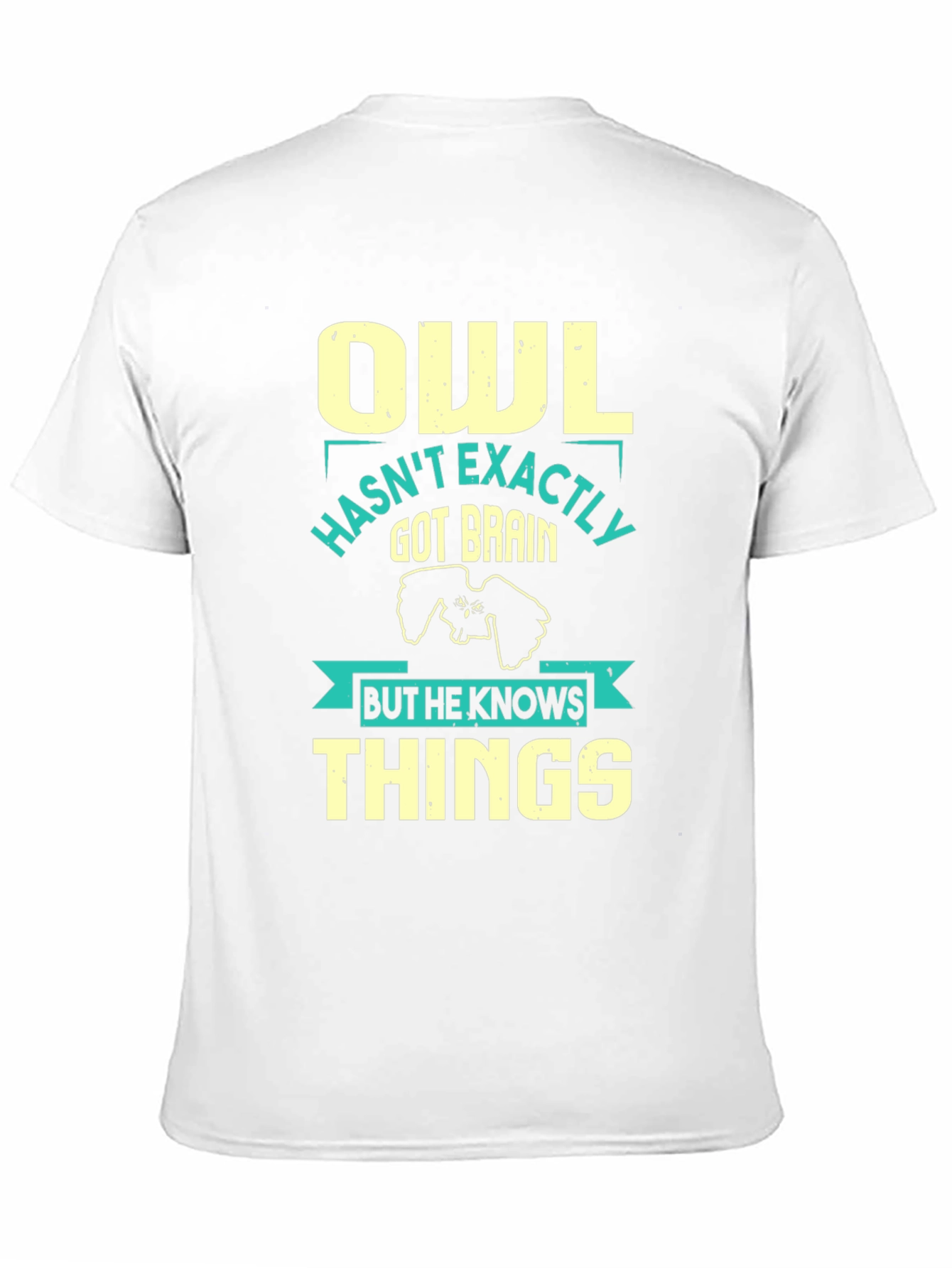 Owl Knows Things Mens T-Shirt - Funny Wisdom Tee