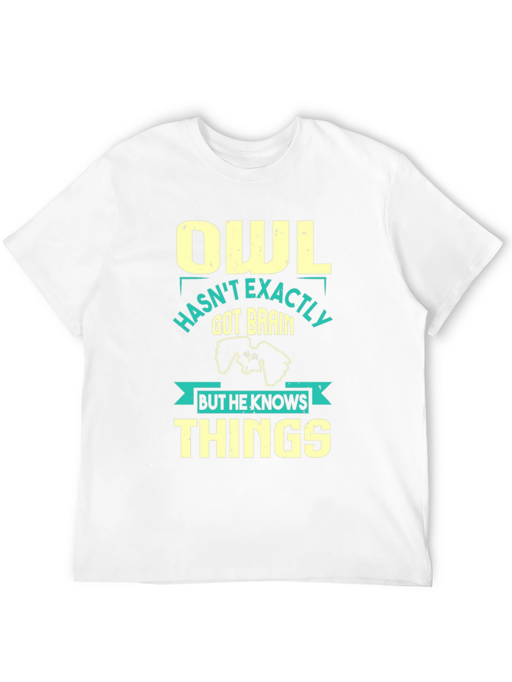 Owl Knows Things Mens T-Shirt - Funny Wisdom Tee