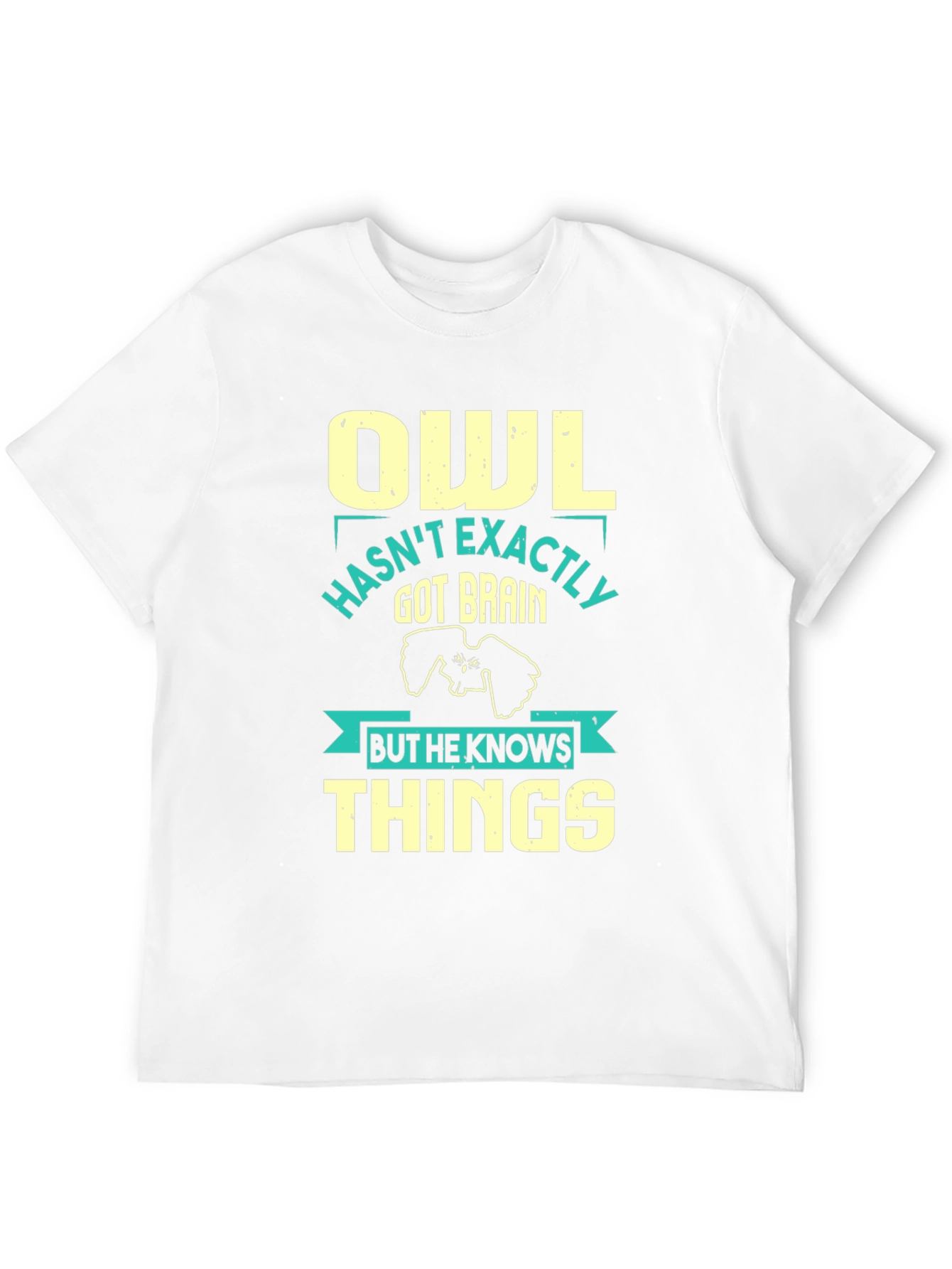 Owl Knows Things Mens T-Shirt - Funny Wisdom Tee