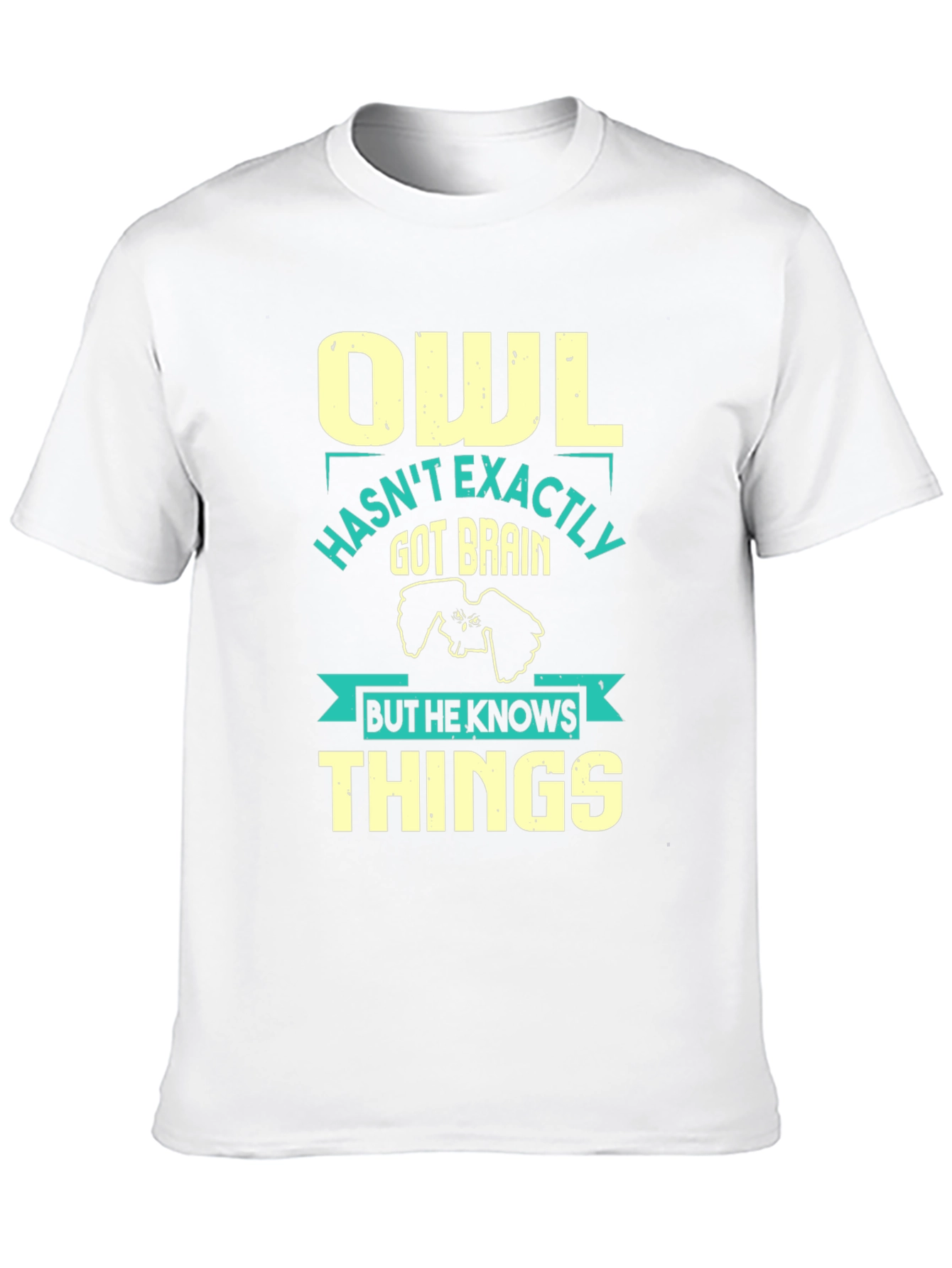 Owl Knows Things Mens T-Shirt - Funny Wisdom Tee