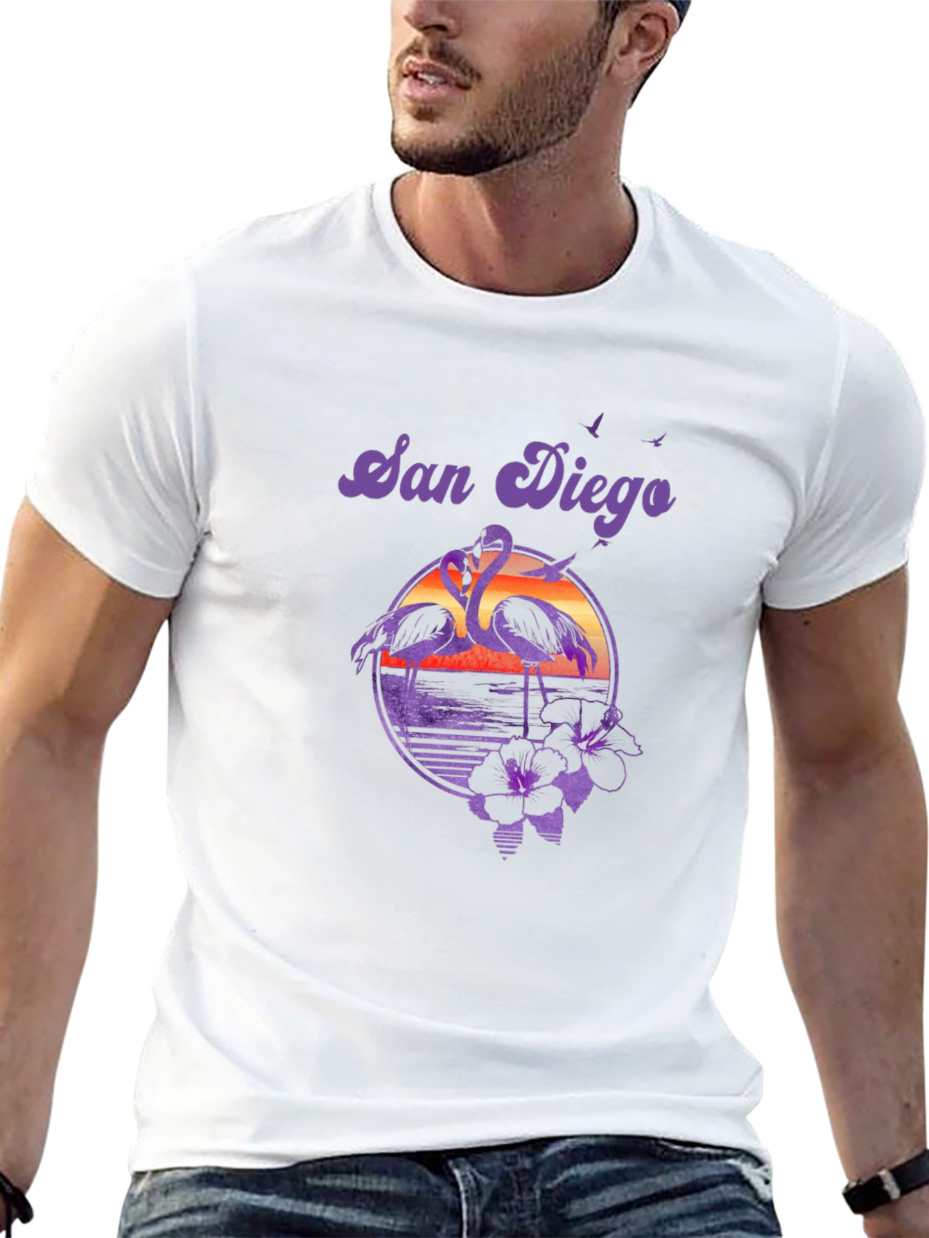 San Diego Flamingo T-Shirt Retro Sunset Beach Tee