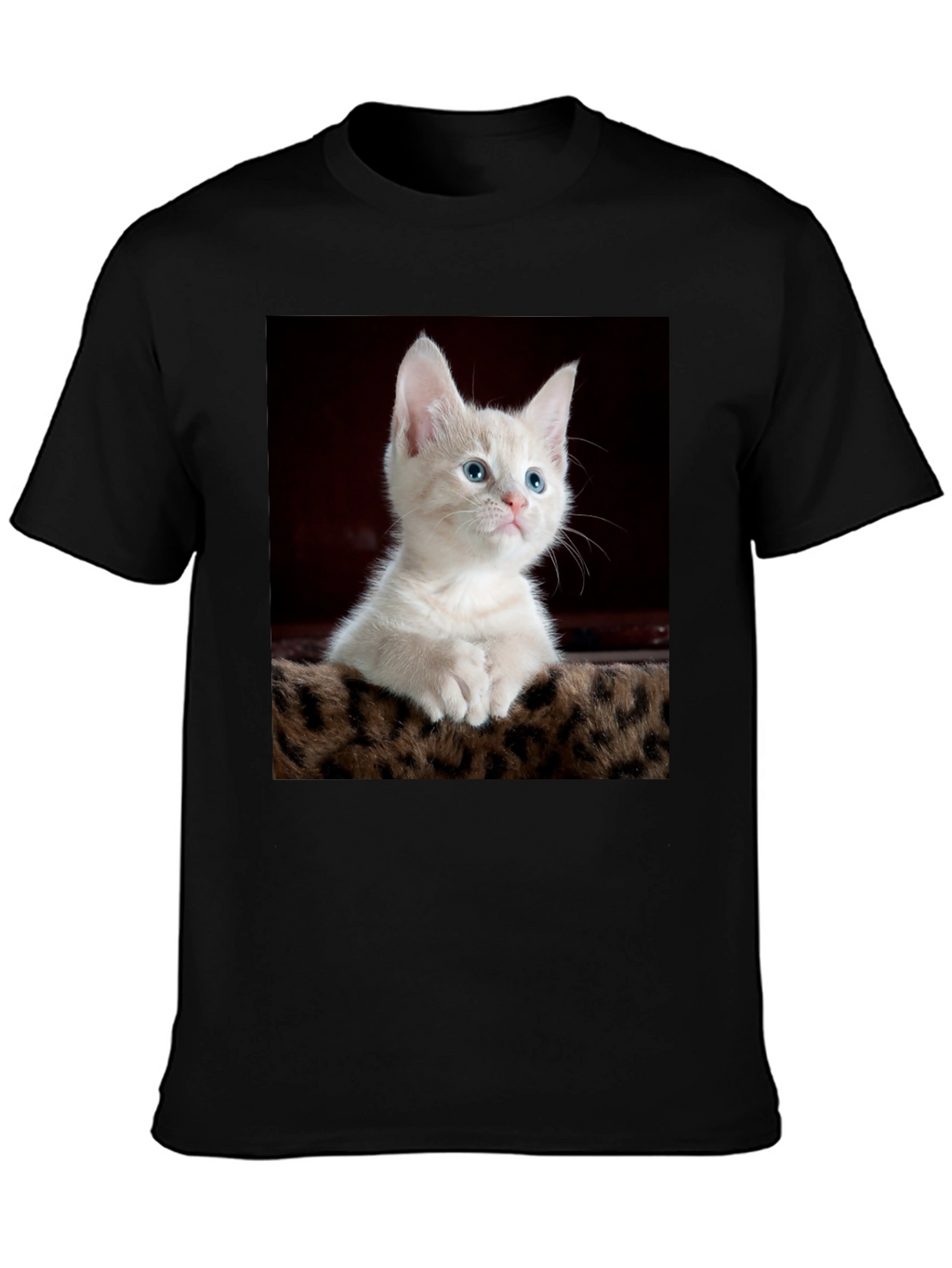Cute Kitten Graphic Tee - Black Cotton T-Shirt