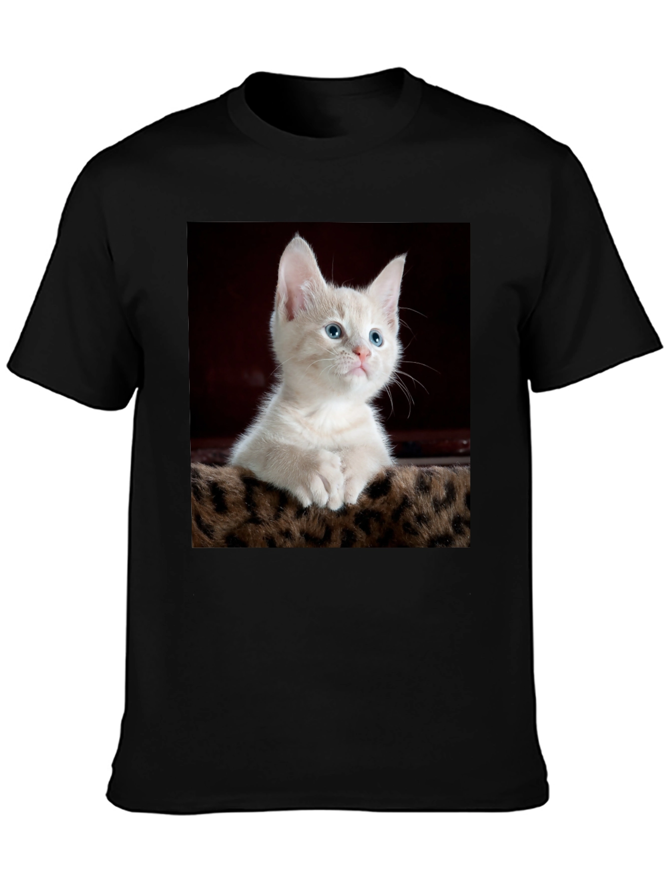 Cute Kitten Graphic Tee - Black Cotton T-Shirt