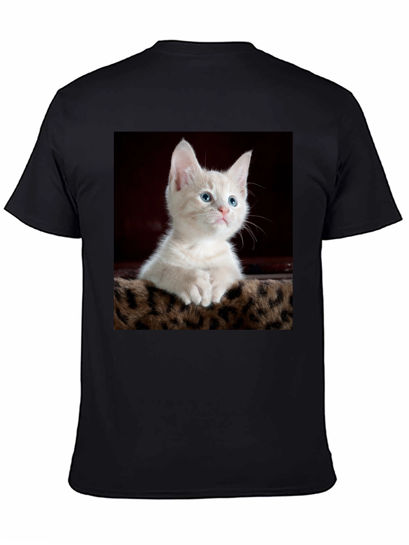 Cute Kitten Graphic Tee - Black Cotton T-Shirt